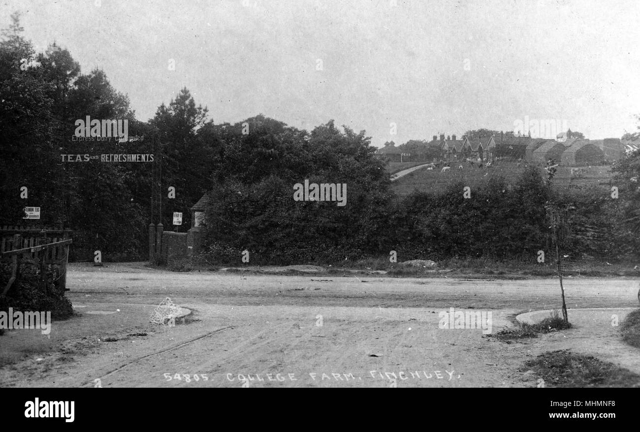 Hochschule Hof, Finchley, London - Eingang zum Ausdruck Dairy Co, Tees und Erfrischungen. Datum: ca. 1900 s Stockfoto