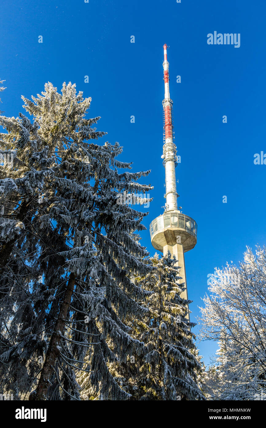 Zürich Fernsehturm auf dem Uetliberg Berg - Schweiz Stockfoto