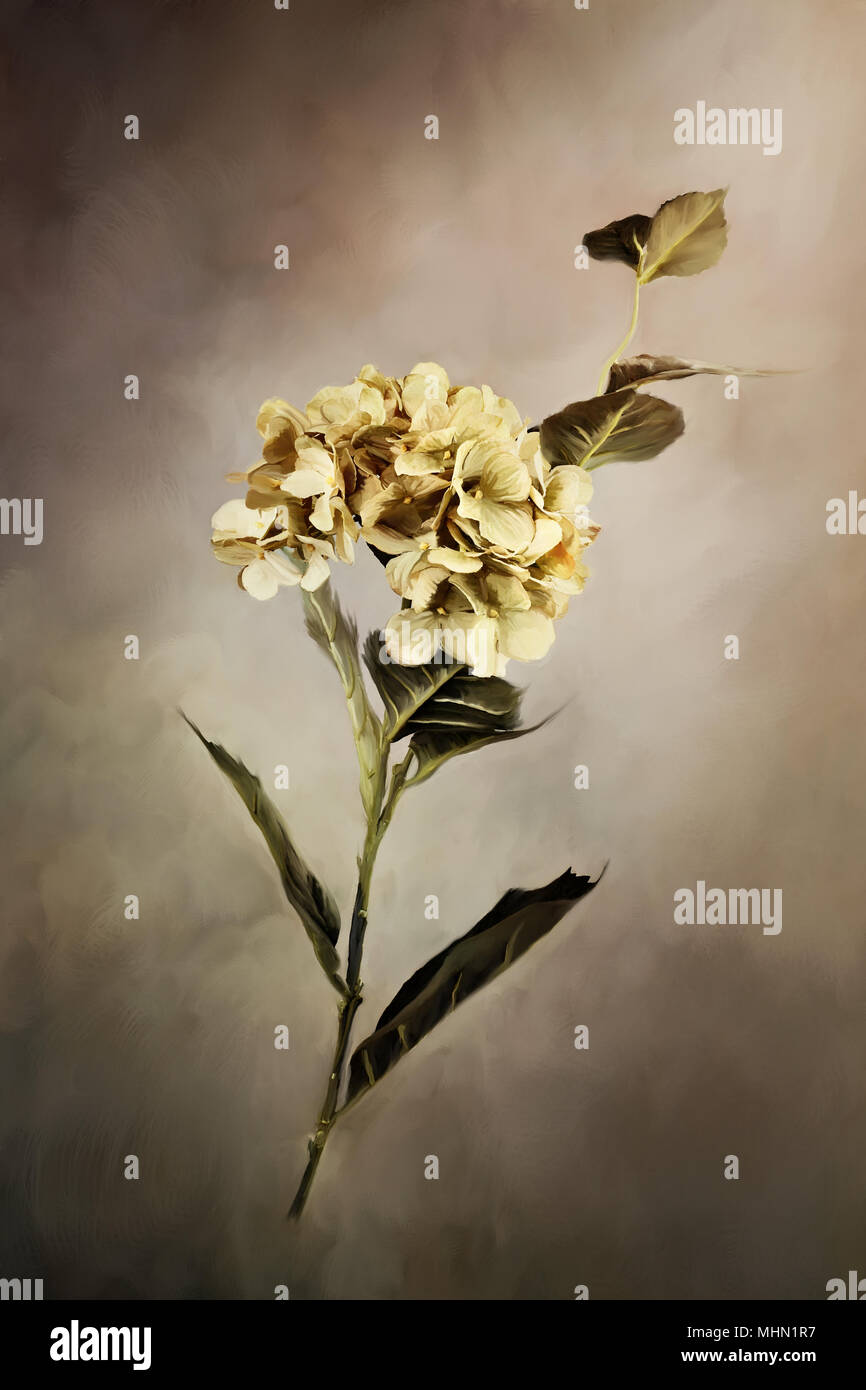 Digitale Malerei eines schönen Hortensie Blume. Stockfoto
