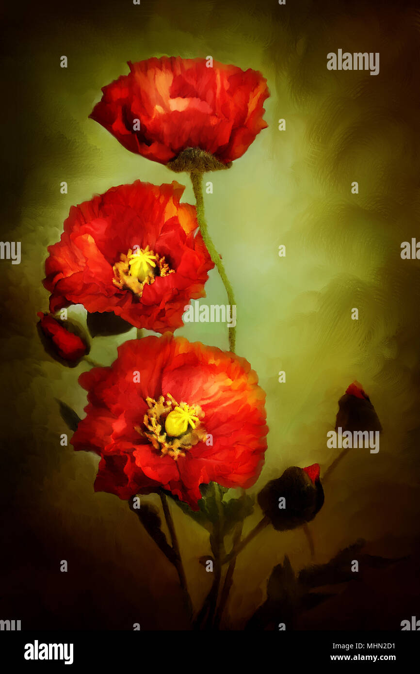 Digitale Malerei der schönen roten Mohn. Stockfoto