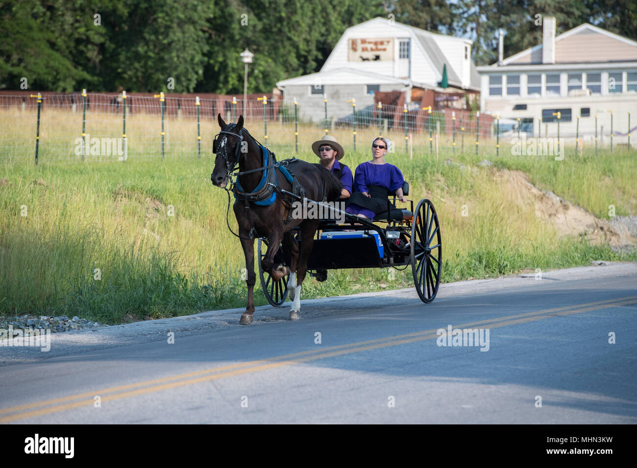 Amish People Pennsylvania Stockfotos & Amish People Pennsylvania Bilder