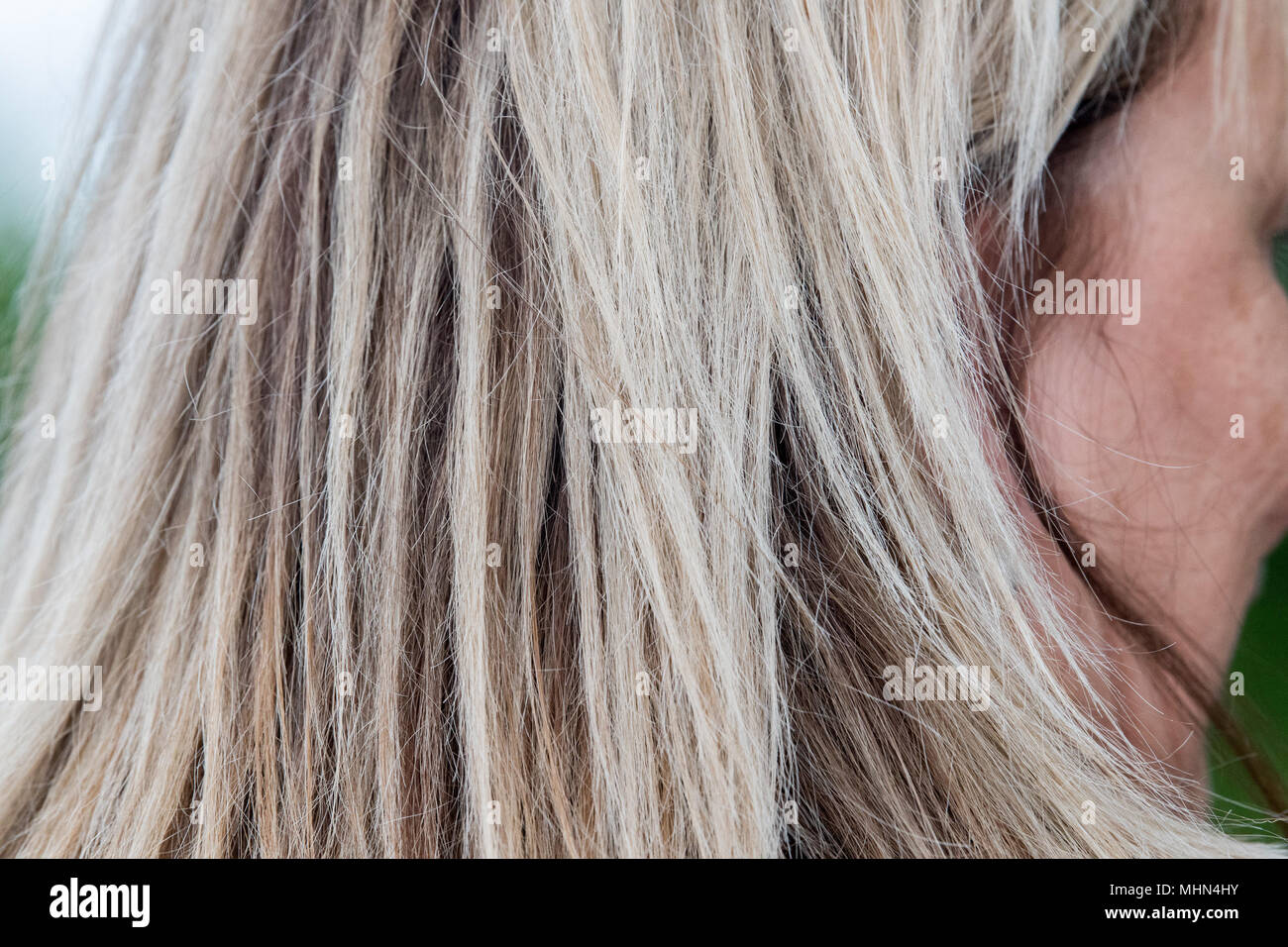 Erwachsene Frau blonde Haare Detail Nahaufnahme Stockfoto