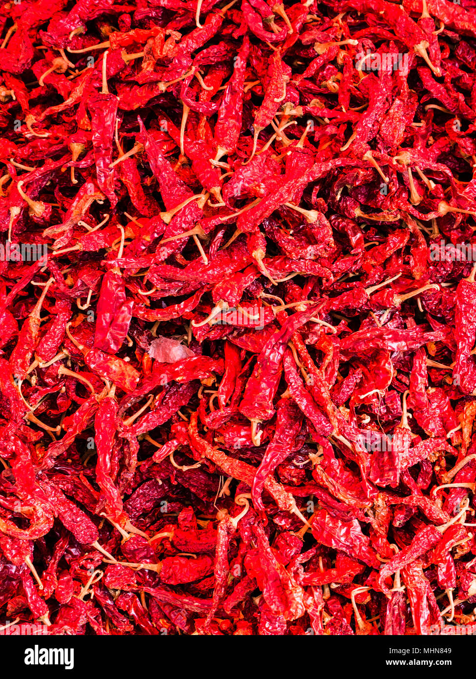 Nahaufnahme von roten Chilischoten Stockfoto