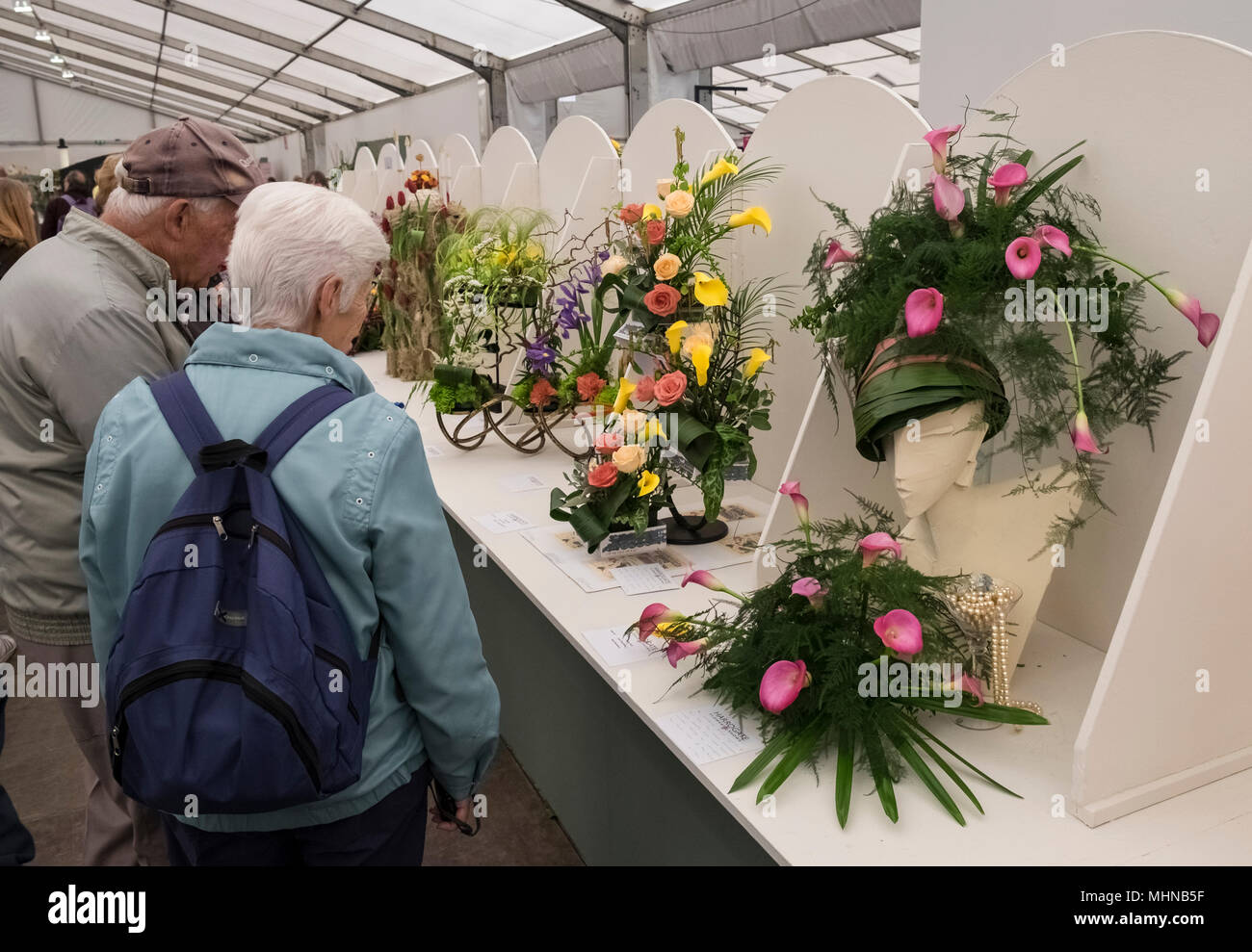 Besucher Exponate in der Blumenkunst zeigt in Harrogate Flower Show, North Yorkshire, England, Großbritannien Stockfoto