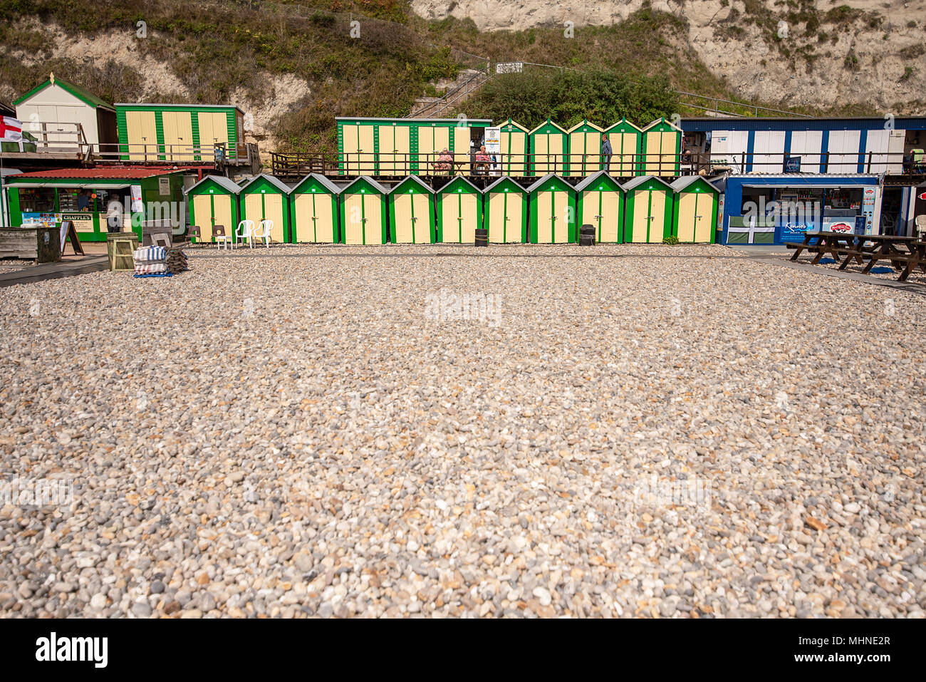 Eine Reihe von frisch gestrichenen traditionelle hölzerne Badekabinen am unteren Rand der weißen Kreidefelsen vor der Kieselstrand von Bier, Devon, Großbritannien. Stockfoto