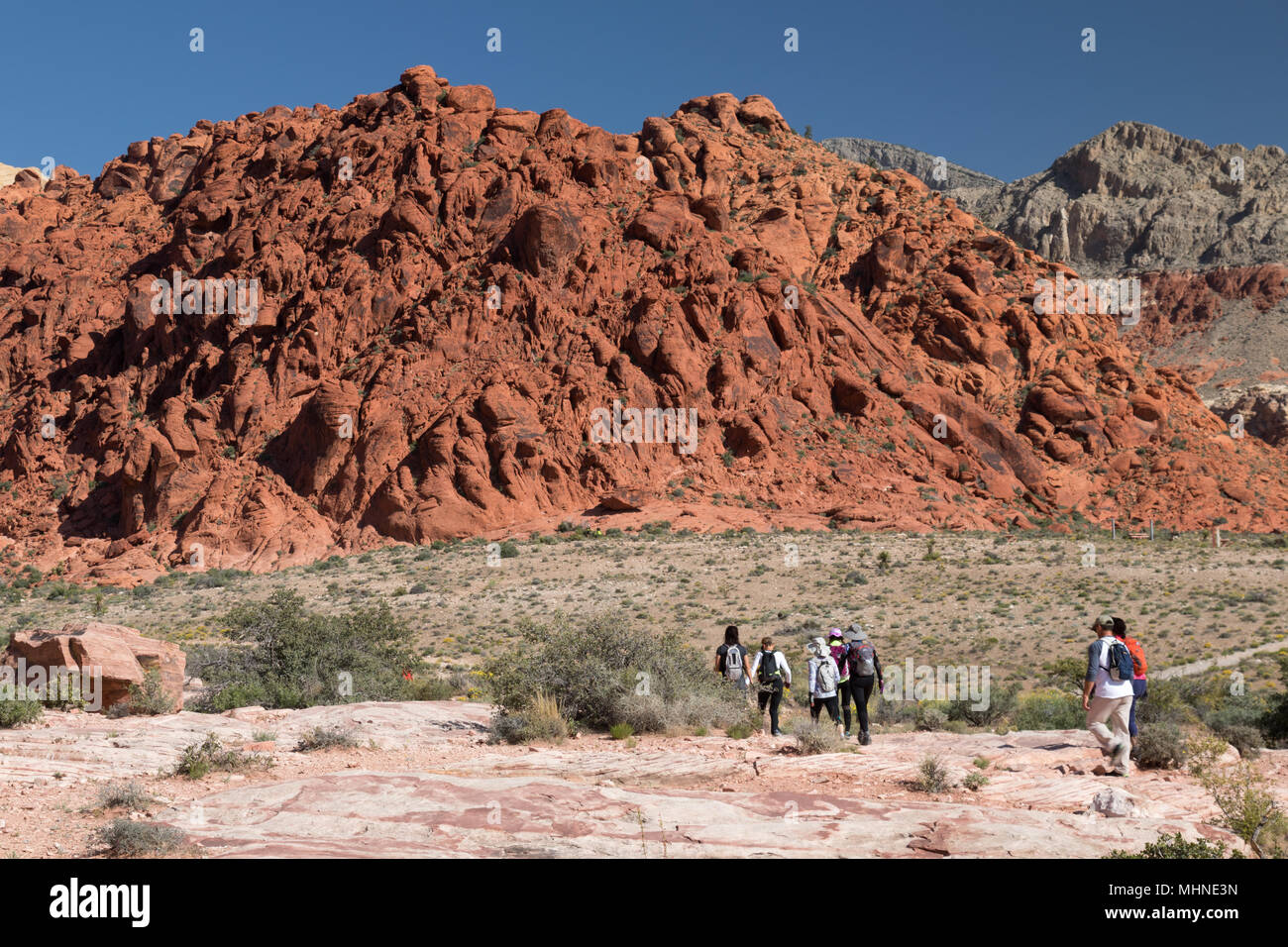 Wanderer in der Red Rock Canyon Stockfoto