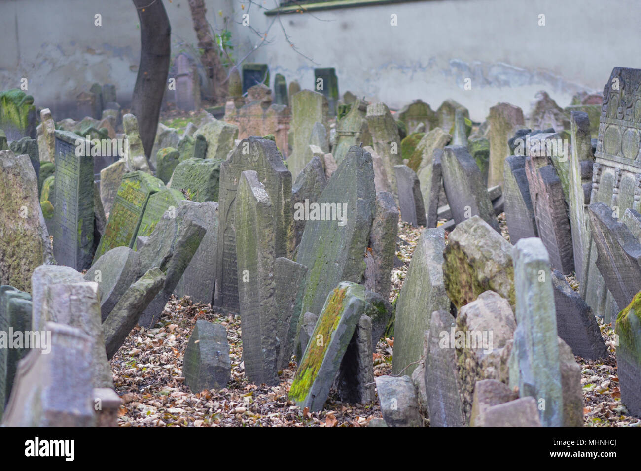 Die 12.000 Grabsteine auf dem Alten Jüdischen Friedhof in Prag zerbröckeln und mit Efeu, gestürzt und zusammengefasst. Stockfoto