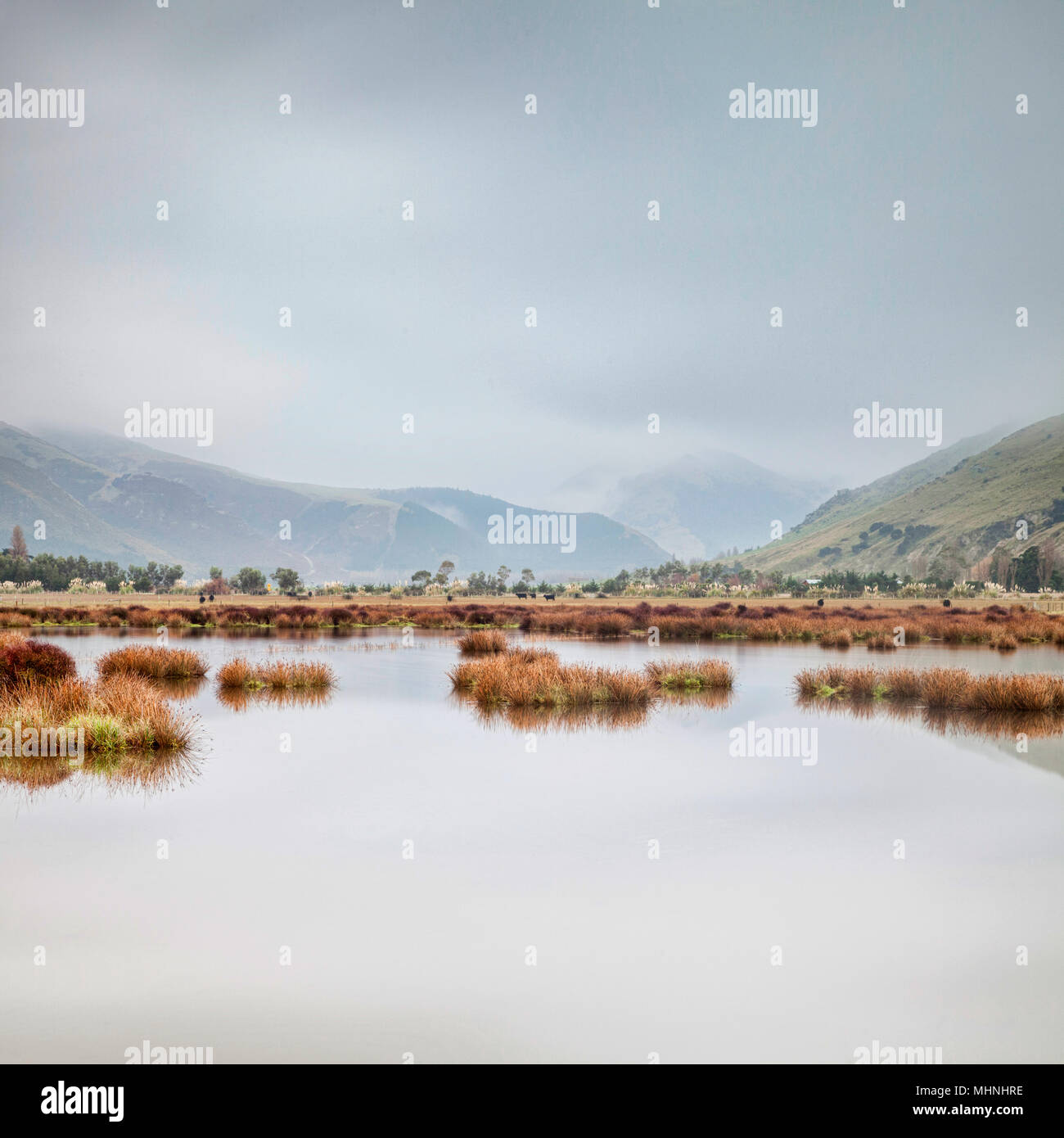 Moody's Tag in die Landschaft. Stockfoto