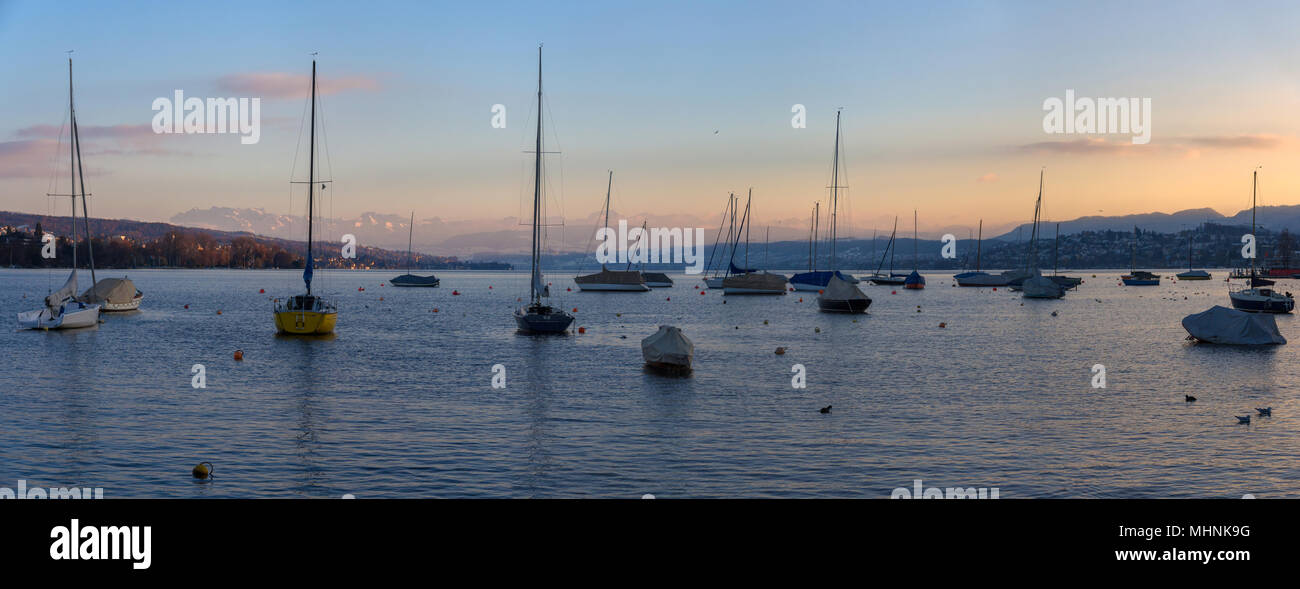 Panorama auf den Zürichsee in der Schweiz Stockfoto