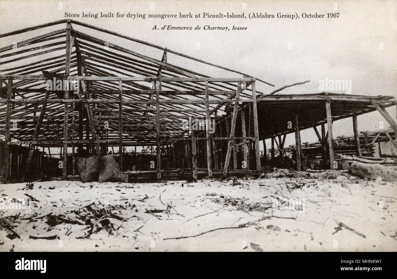 Mangrovenrindenladen gebaut - Picault Island, Aldabra Group Stockfoto