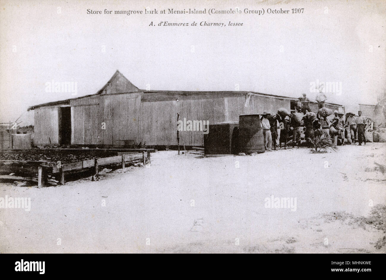 Mangrove Rinde Store - Menai Insel, Teil des Cosmoledo Group, Teil der äußeren Inseln der Seychellen, liegt im Südwesten der Insel Nation, 1.000 km (620 Meilen) von der Insel Mahe. Die ganze Insel erscheint über die Ernte und Trocknung von Mangrove Rinde gedreht worden zu sein. Datum: 1907 Stockfoto