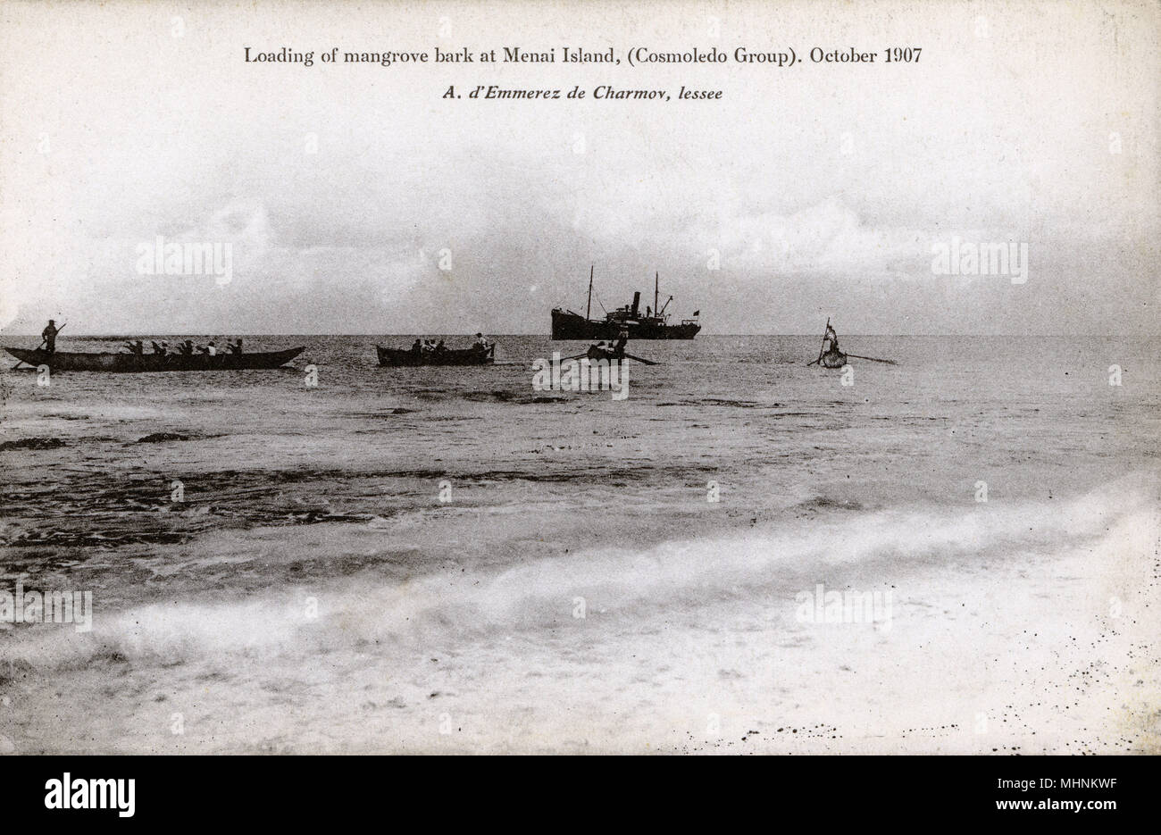 Laden von Mangrove Rinde - Menai Insel, Teil des Cosmoledo Group, Teil der äußeren Inseln der Seychellen, liegt im Südwesten der Insel Nation, 1.000 km (620 Meilen) von der Insel Mahe. Die ganze Insel erscheint über die Ernte und Trocknung von Mangrove Rinde gedreht worden zu sein. Datum: 1907 Stockfoto