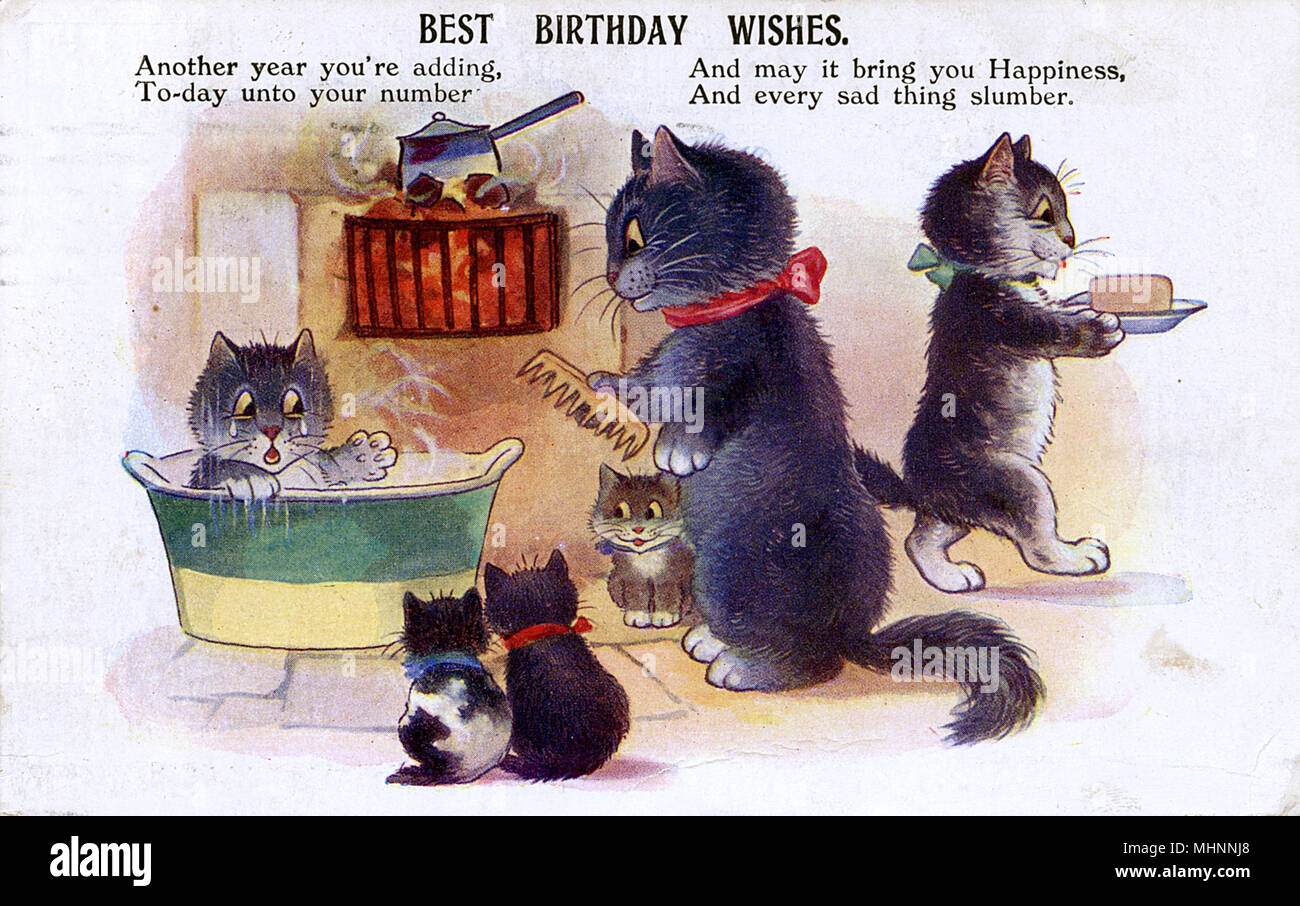 Geburtstagsgruß-Postkarte - Eine Katzenfamilie zum Baden Stockfoto