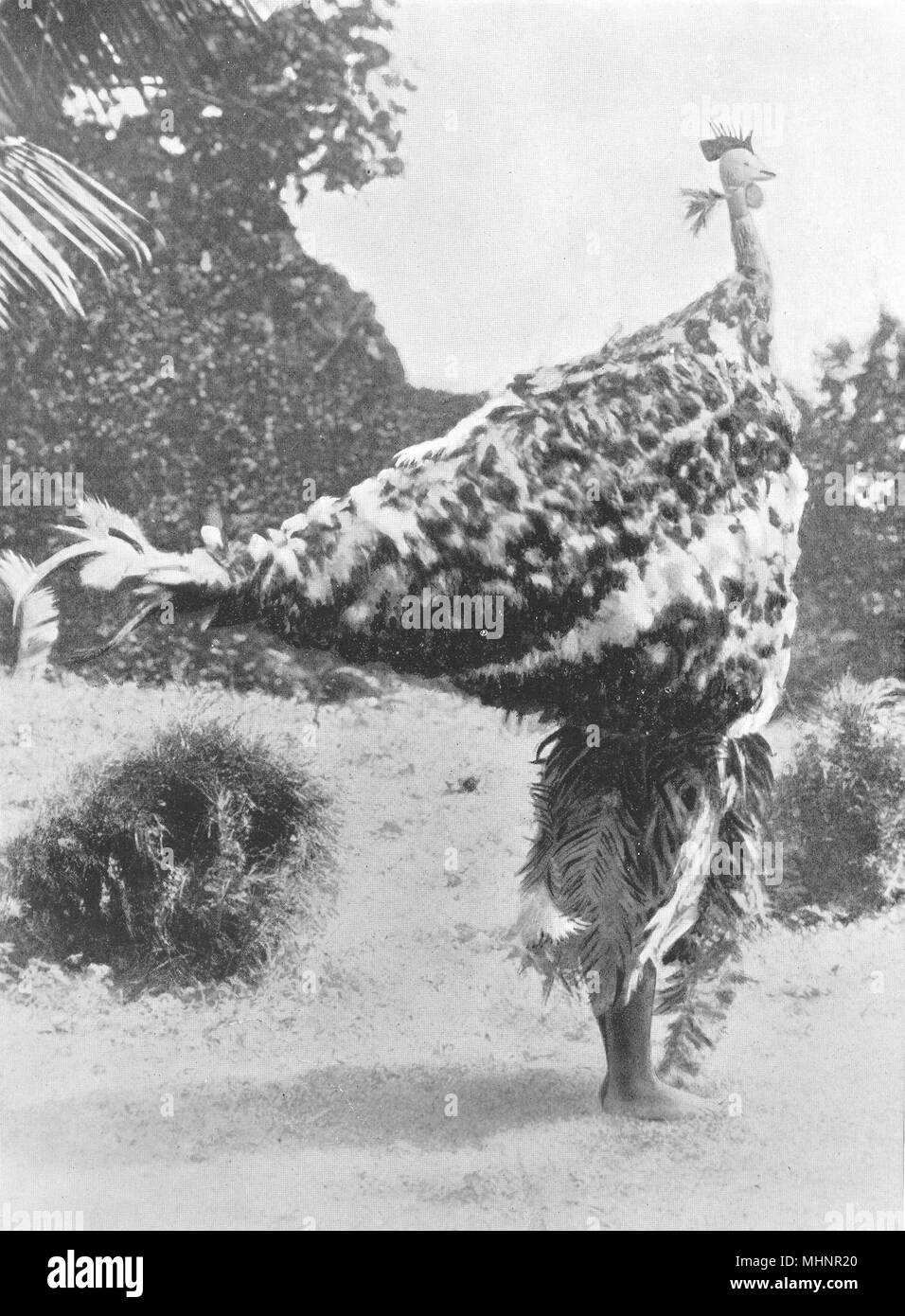 Melanesien. Melanesien. Eine Maske gemacht und nur von jungen getragen; Gazelle Halbinsel 1900 Stockfoto