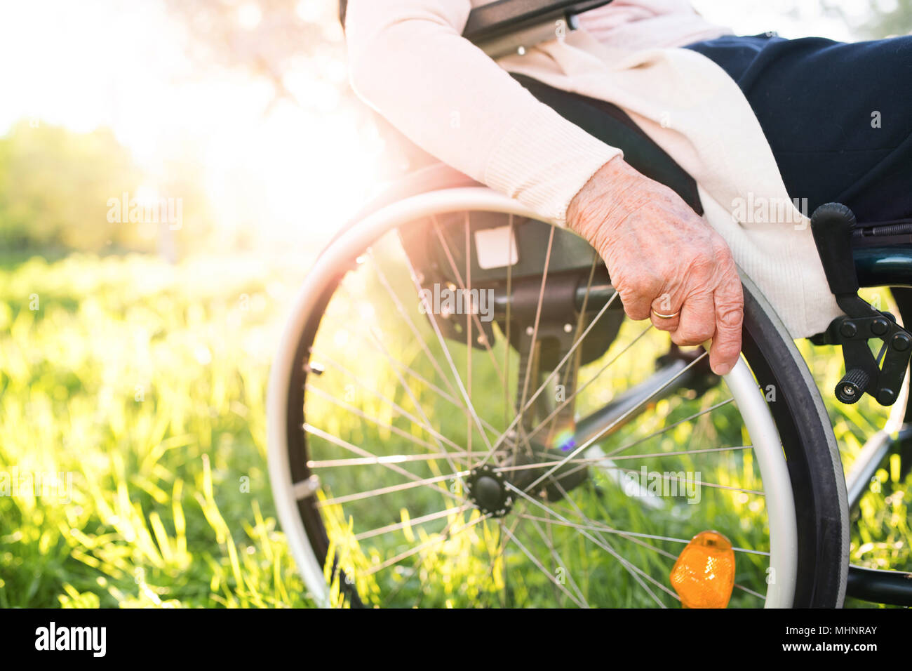 Ältere Frau im Rollstuhl im Frühling Natur. Stockfoto