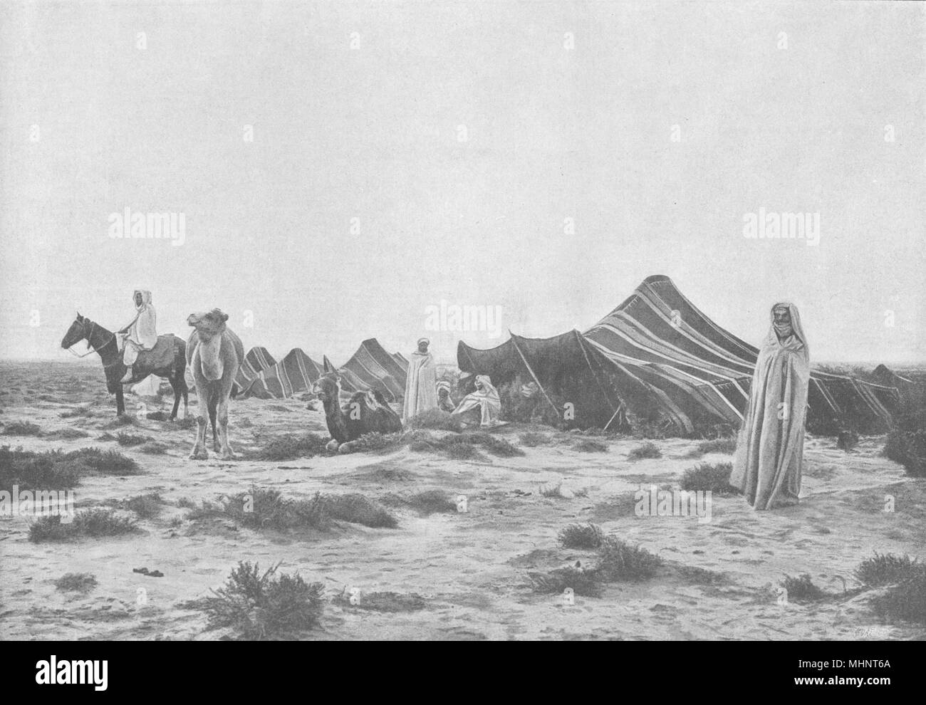 Algerien. Campement Désert 1895 alte antike vintage Bild drucken Stockfoto