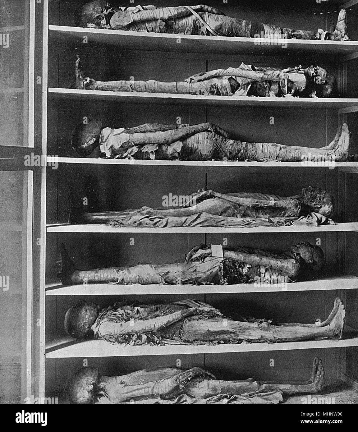 Mumien von Priestern, Gizeh-Museum, Ägypten Stockfoto