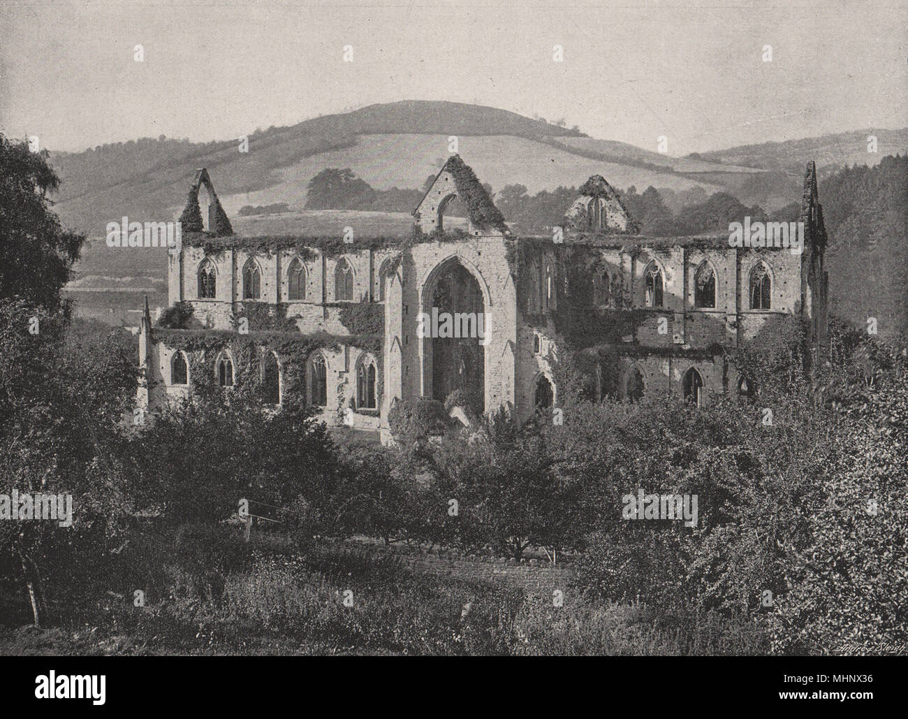 TINTERN ABBEY. Überwuchert. Wales 1900 alte antike vintage Bild drucken Stockfoto