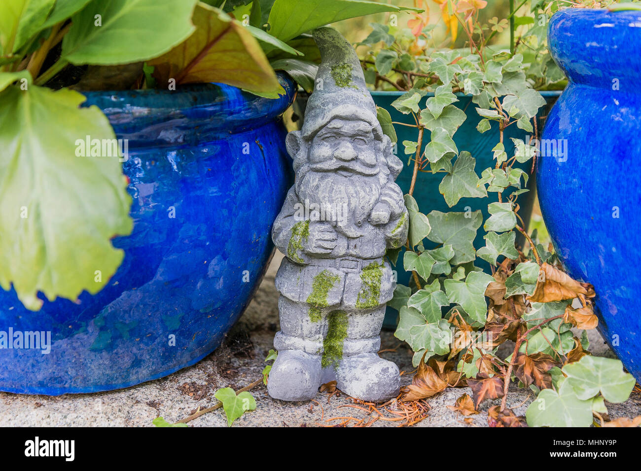 Gartenzwerg Stockfoto