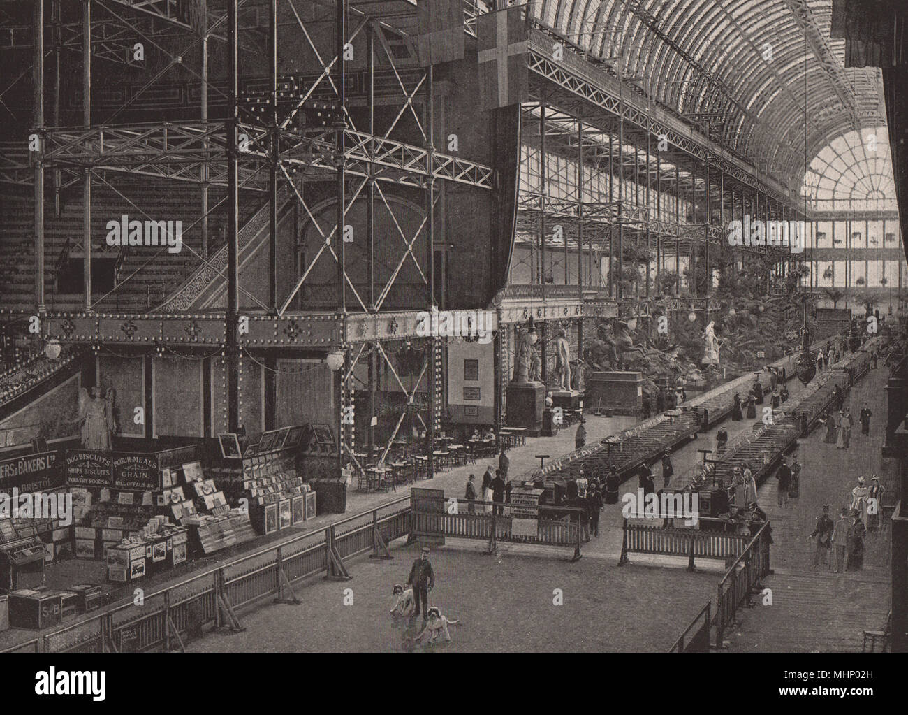 Dog Show im Crystal Palace (1895). London 1896 alte antike Bild drucken Stockfoto