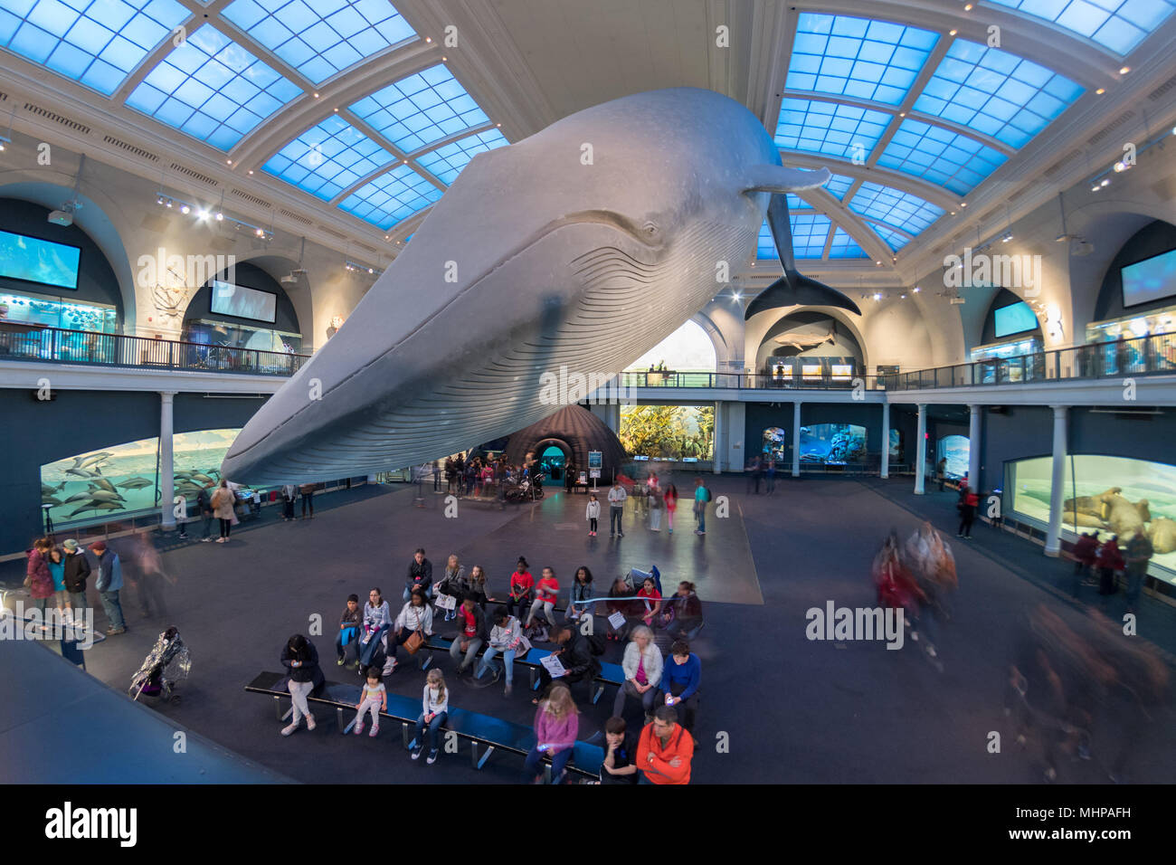 NEW YORK, VEREINIGTE STAATEN - 21 April 2017 - Touristische und Kinder besuchen das Natural History Museum Blauwal Hall Stockfoto