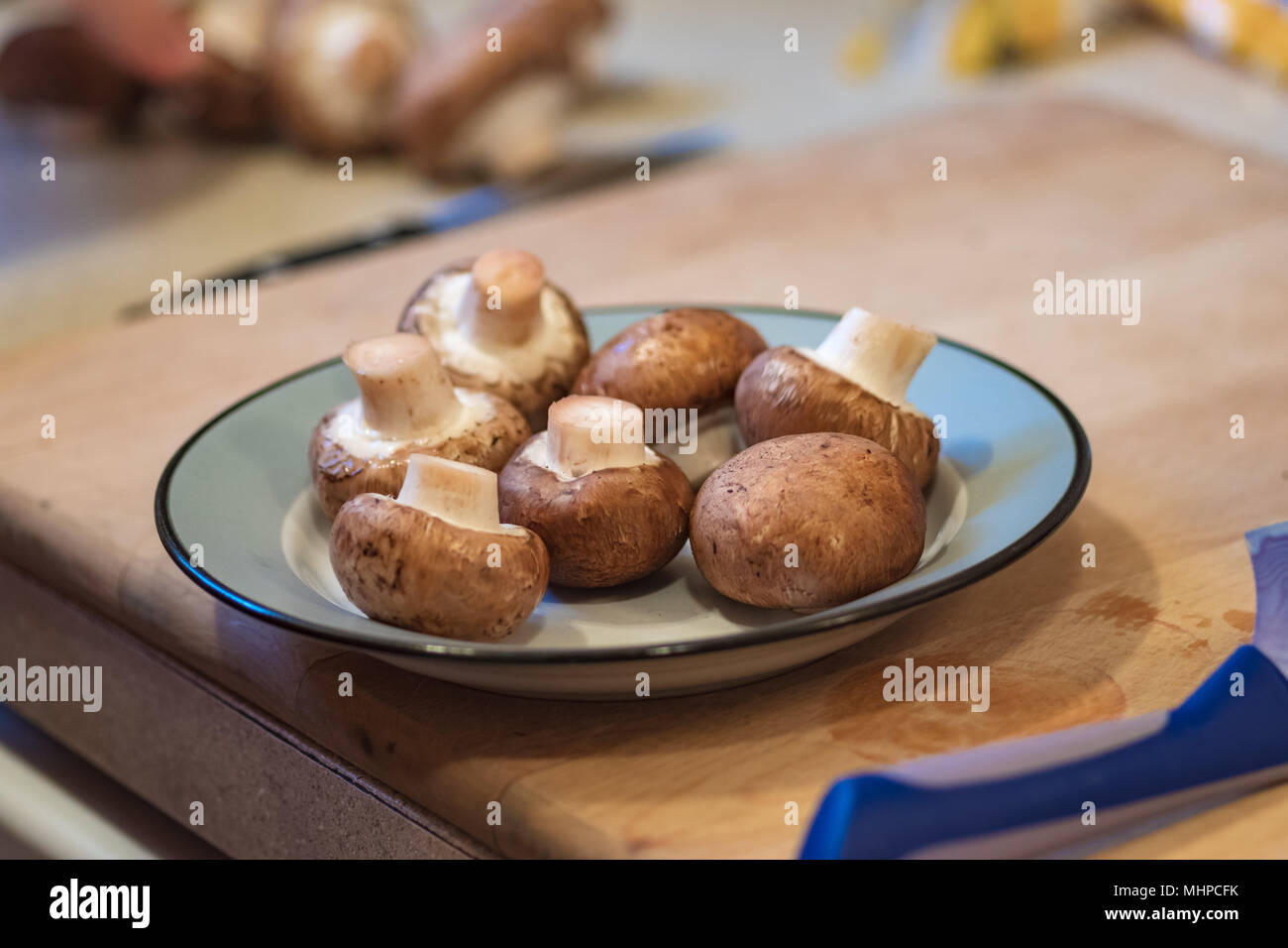 Ganze Pilze auf eine graue Platte, auf einem Schneidebrett neben einem blauen Messer Griff. Stockfoto