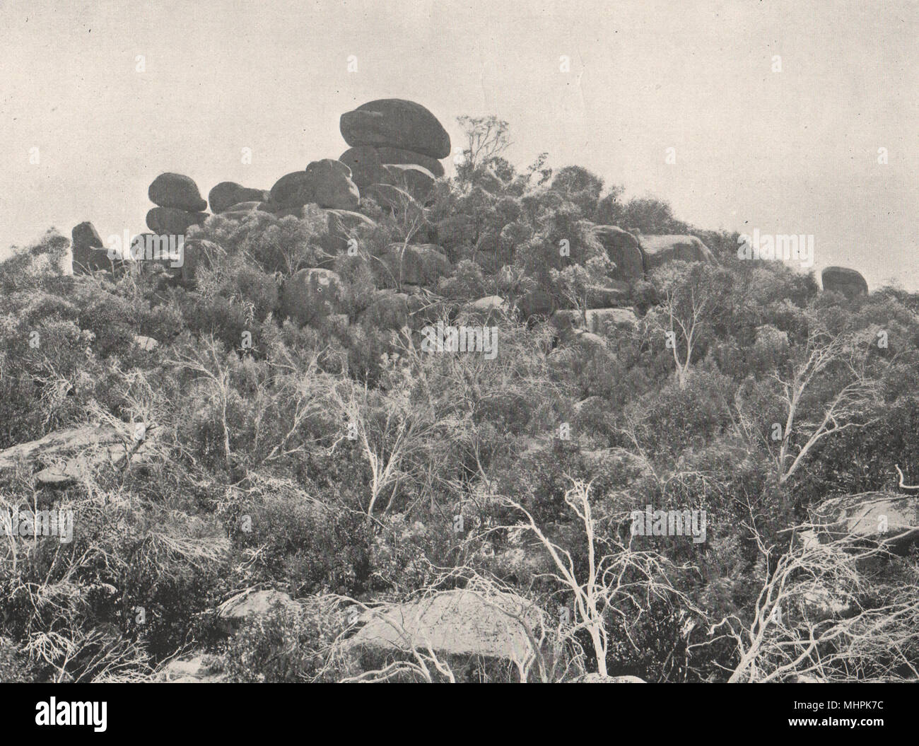 Buffalo Berge. Big Gun Hill Blick nach Norden. Victoria, Australien. 1908 Drucken Stockfoto
