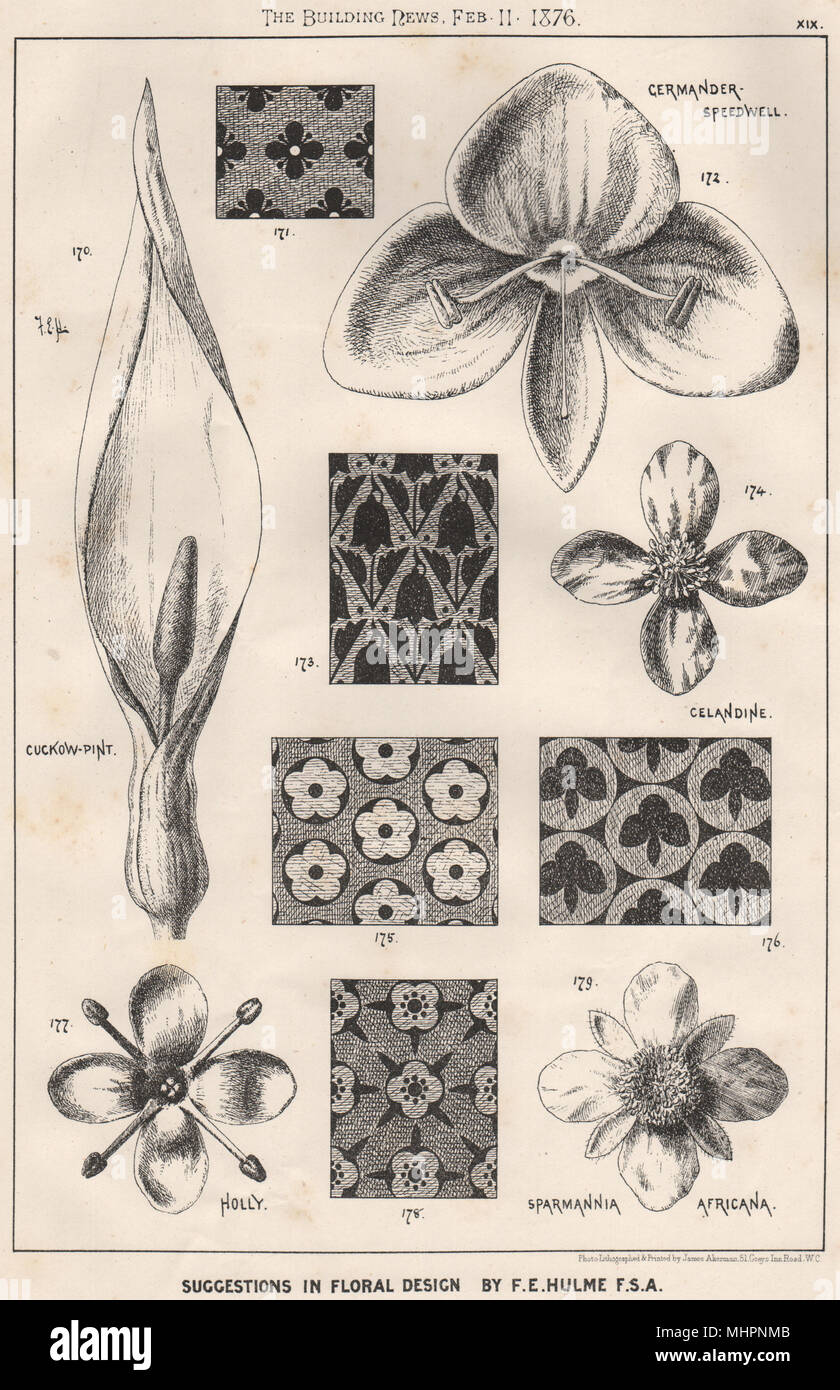 Vorschläge in Blumig; Design von ZB. Hulme F. S.A.. Dekorativ (17) 1876 Drucken Stockfoto