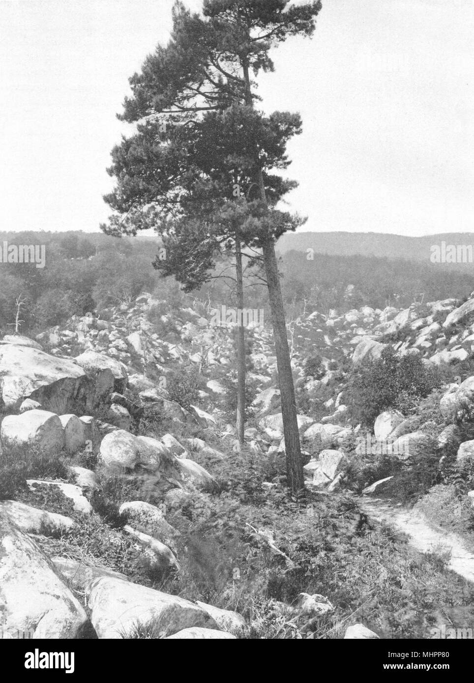 SEINE-ET-MARNE. Le Désert d'Apremont 1902 alte antike vintage Bild drucken Stockfoto