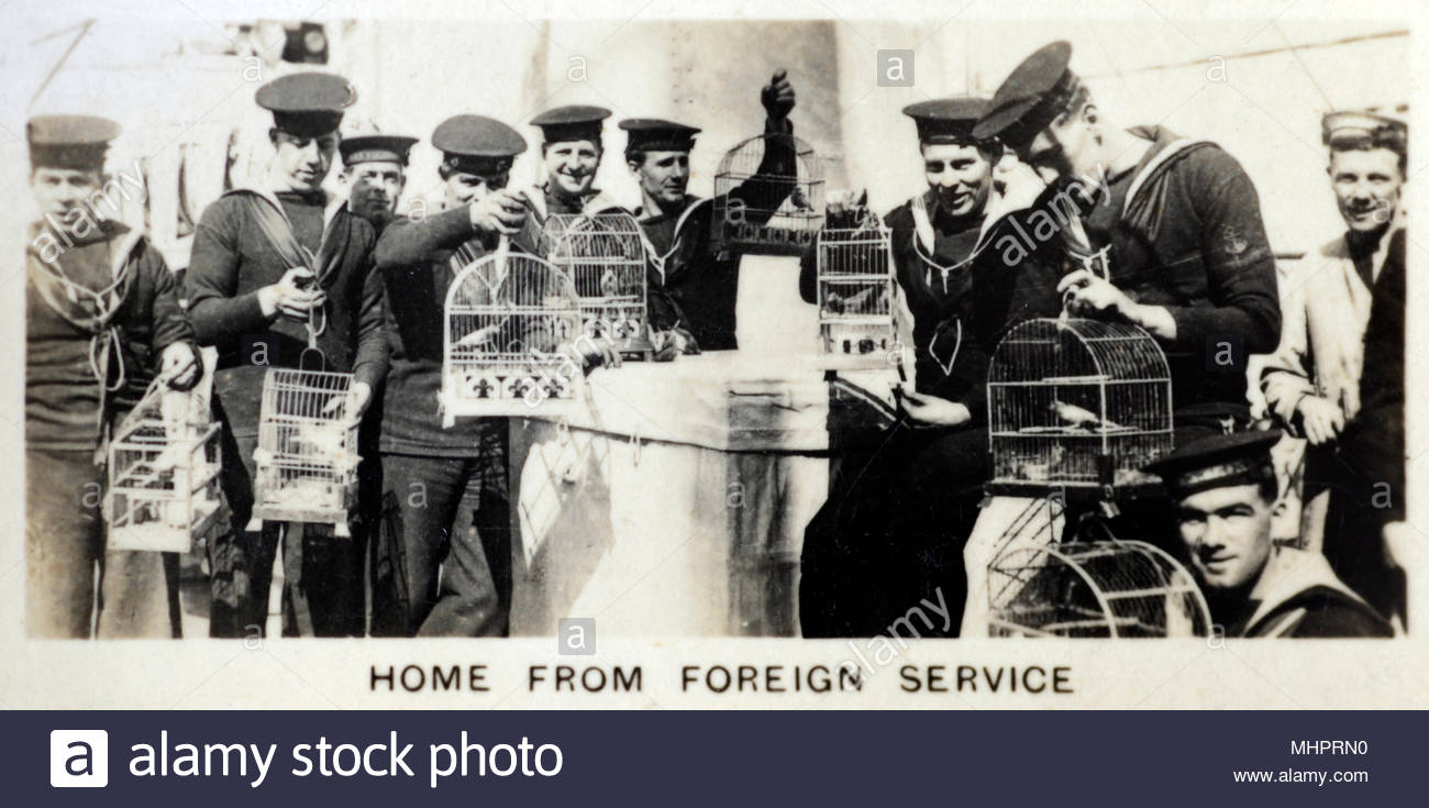 Die Rückkehr von einer Reise in das Mittelmeer, Britische Seeleute mit eingesperrten Kanaren gebracht zurück aus Spanien 1920 s Stockfoto