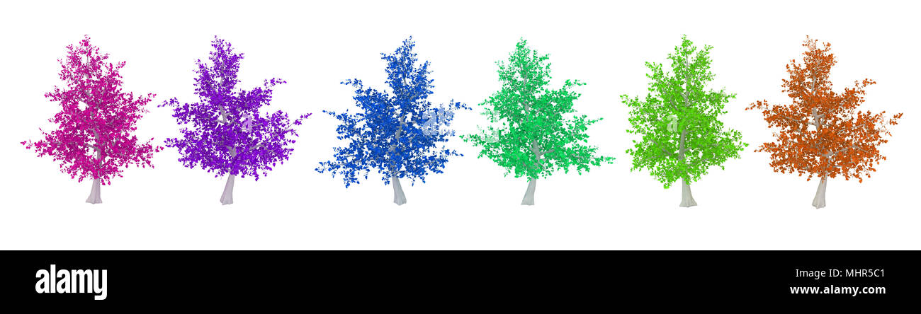 Reihe von 3d-Baum Modelle in 6 Farben, isoliert Stockfoto