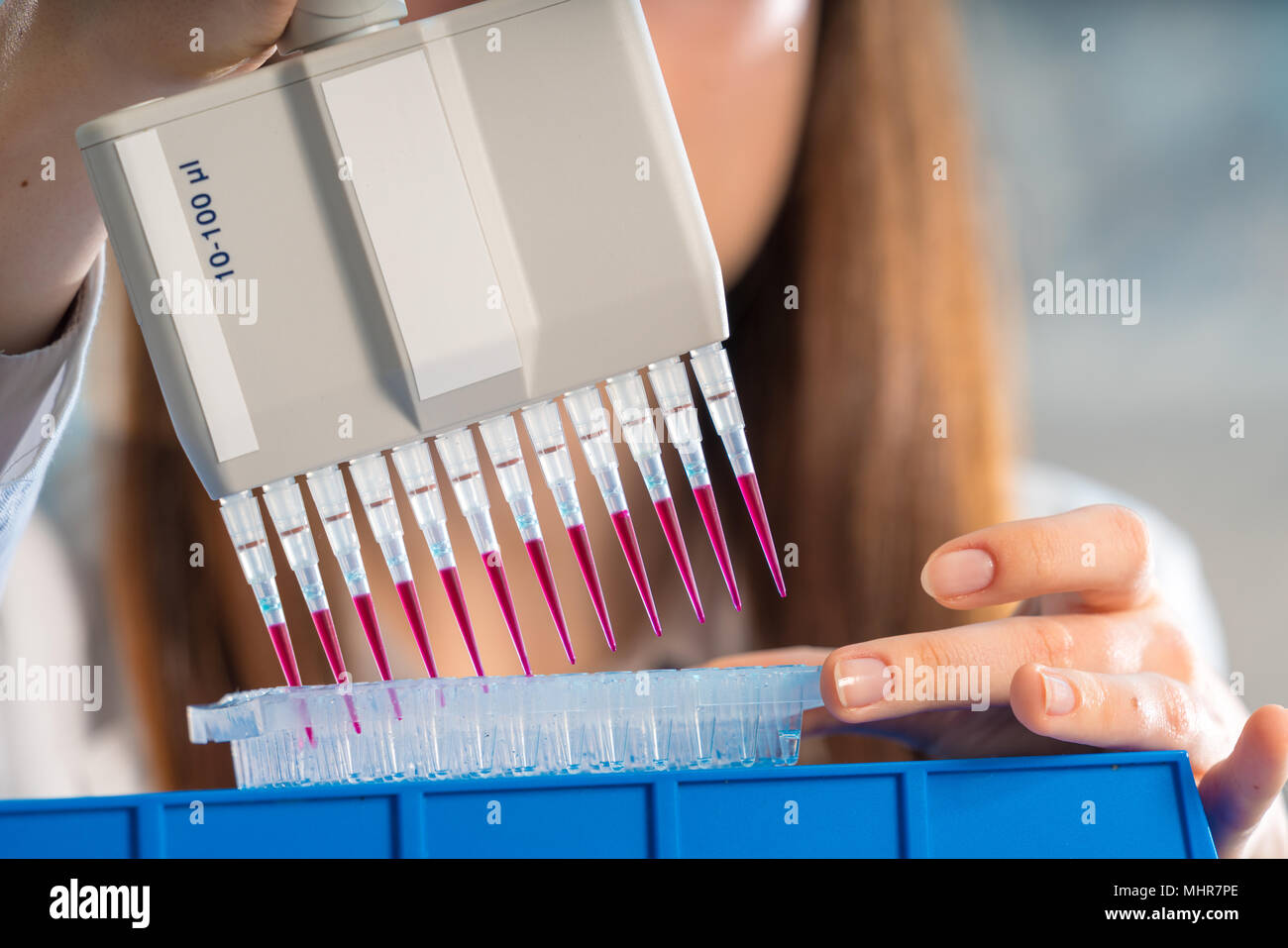 Mikrobiologische Labor Wissenschaftler Frau mit Multi-channel-Pipette, DNA Test Stockfoto