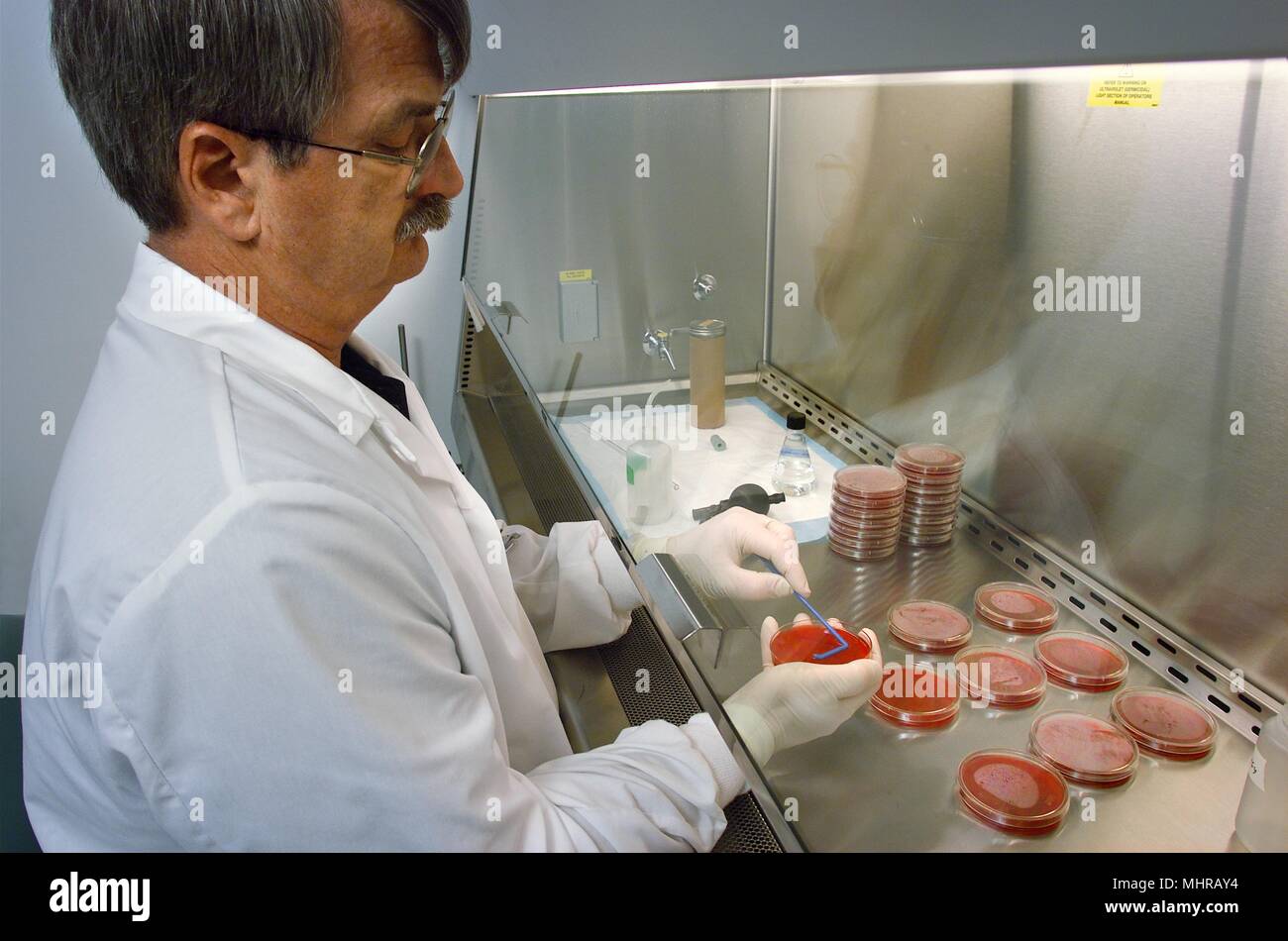 Mitten zur Krankheit-Steuerung Meningitis und Special Pathogens Branch (MSPB) Forschung Chemiker, Arnold Steigerwalt, Durchführung eines DNA-Hybridisierung Analyse, 2005. Mit freundlicher Seuchenkontrollzentren (CDC)/Maryam I. Daneshvar. () Stockfoto