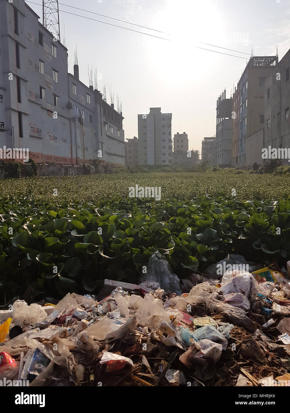 10 April 2018, Bangladesch, Gazipur: ein Feld von Wasserhyazinthe wachsen zwischen den Gebäuden an der Stelle des einstigen Rana Plaza Fabrikgebäude verwendet werden. Fünfer Jahre nach dem Zusammenbruch der Rana Plaza Gebäude, das mehr als 1.100 Toten, die Situation in Bangladeschs Textilindustrie hat leichte trotz anhaltender Probleme verbessert. Foto: Nick Kaiser/dpa Stockfoto