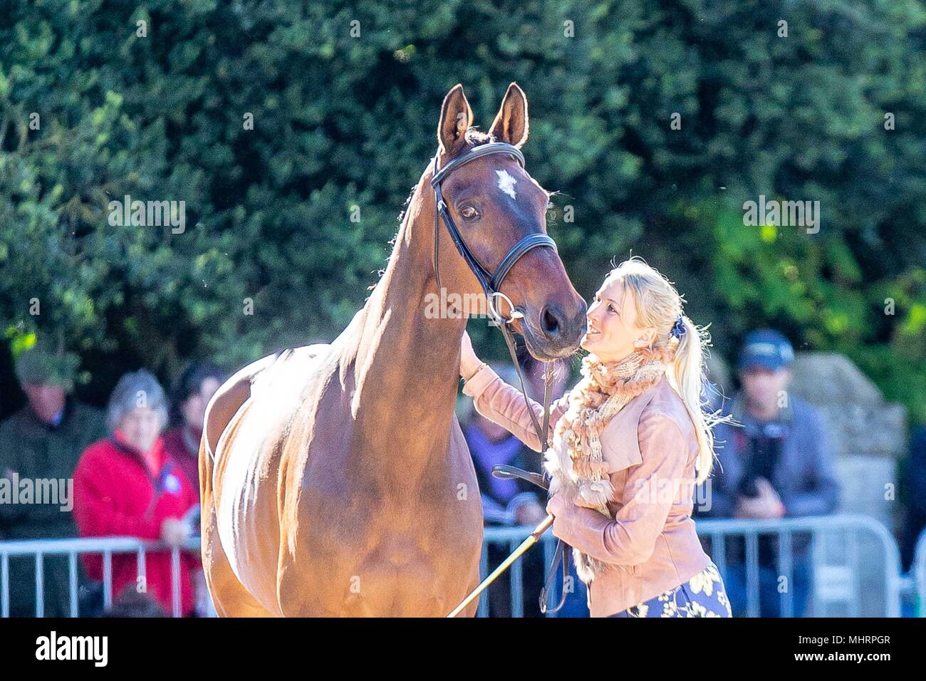 Iissa Grün. Coleshill. AUS. Trab. Mitsubishi Badminton Horse Trials. Badminton. UK. 02.05.2018. Stockfoto