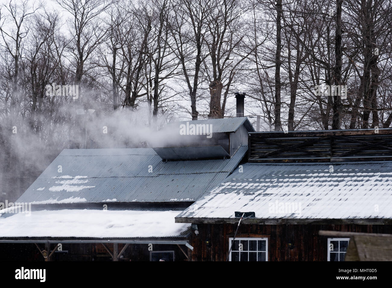 Aus Ahorn Sirup Produktion aus einem Schlot in das Dach eines Sugar shack in Québec, Kanada aufsteigenden Dampf Stockfoto