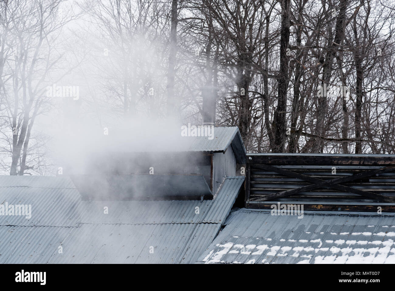 Aus Ahorn Sirup Produktion aus einem Schlot in das Dach eines Sugar shack in Québec, Kanada aufsteigenden Dampf Stockfoto