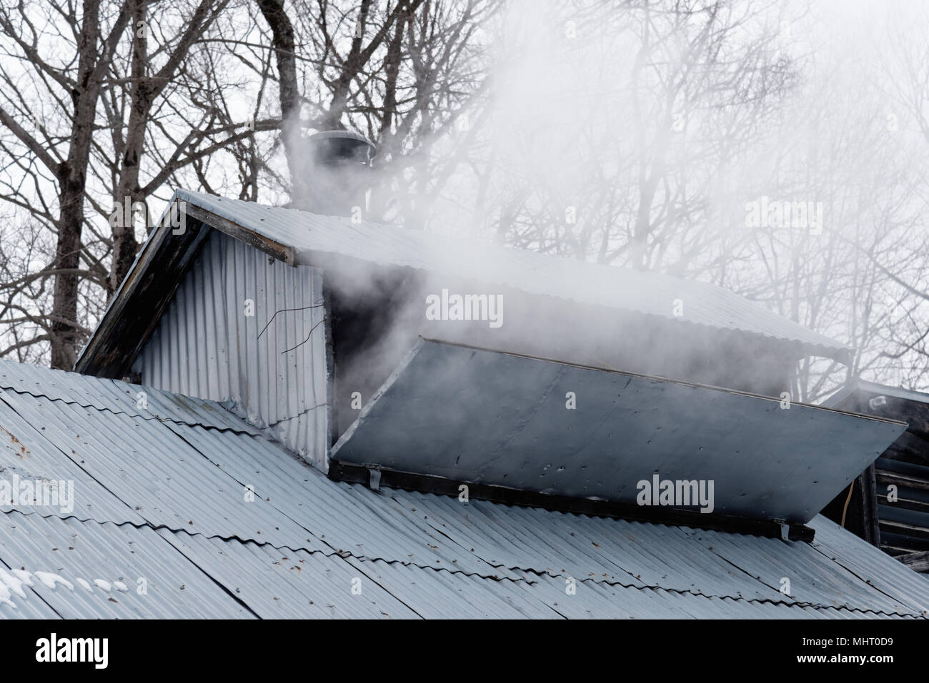 Aus Ahorn Sirup Produktion aus einem Schlot in das Dach eines Sugar shack in Québec, Kanada aufsteigenden Dampf Stockfoto