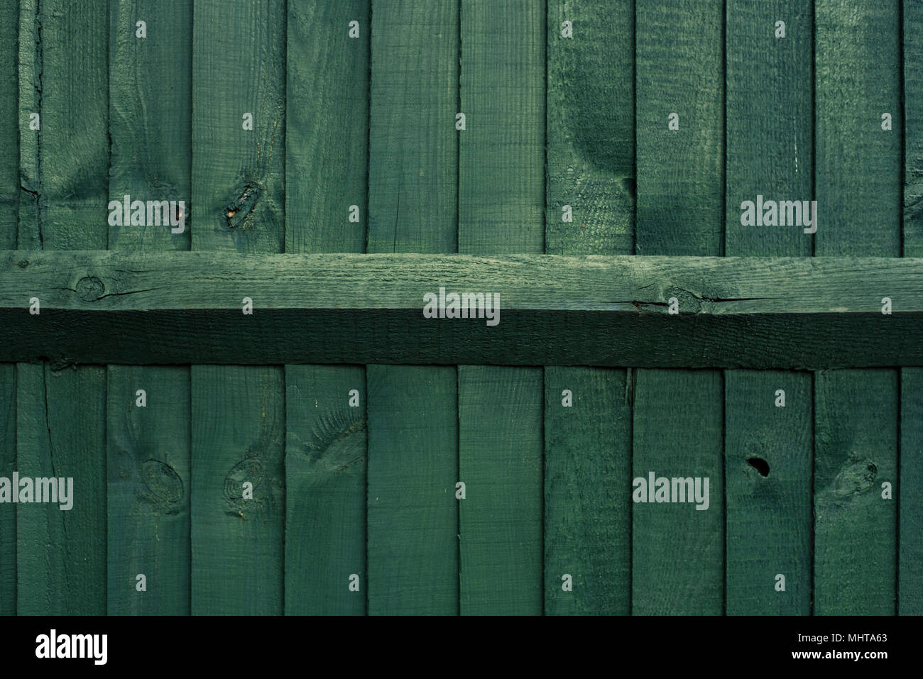 Closeup Schoß der dunklen, grünen Garten Zaun Panel Stockfoto