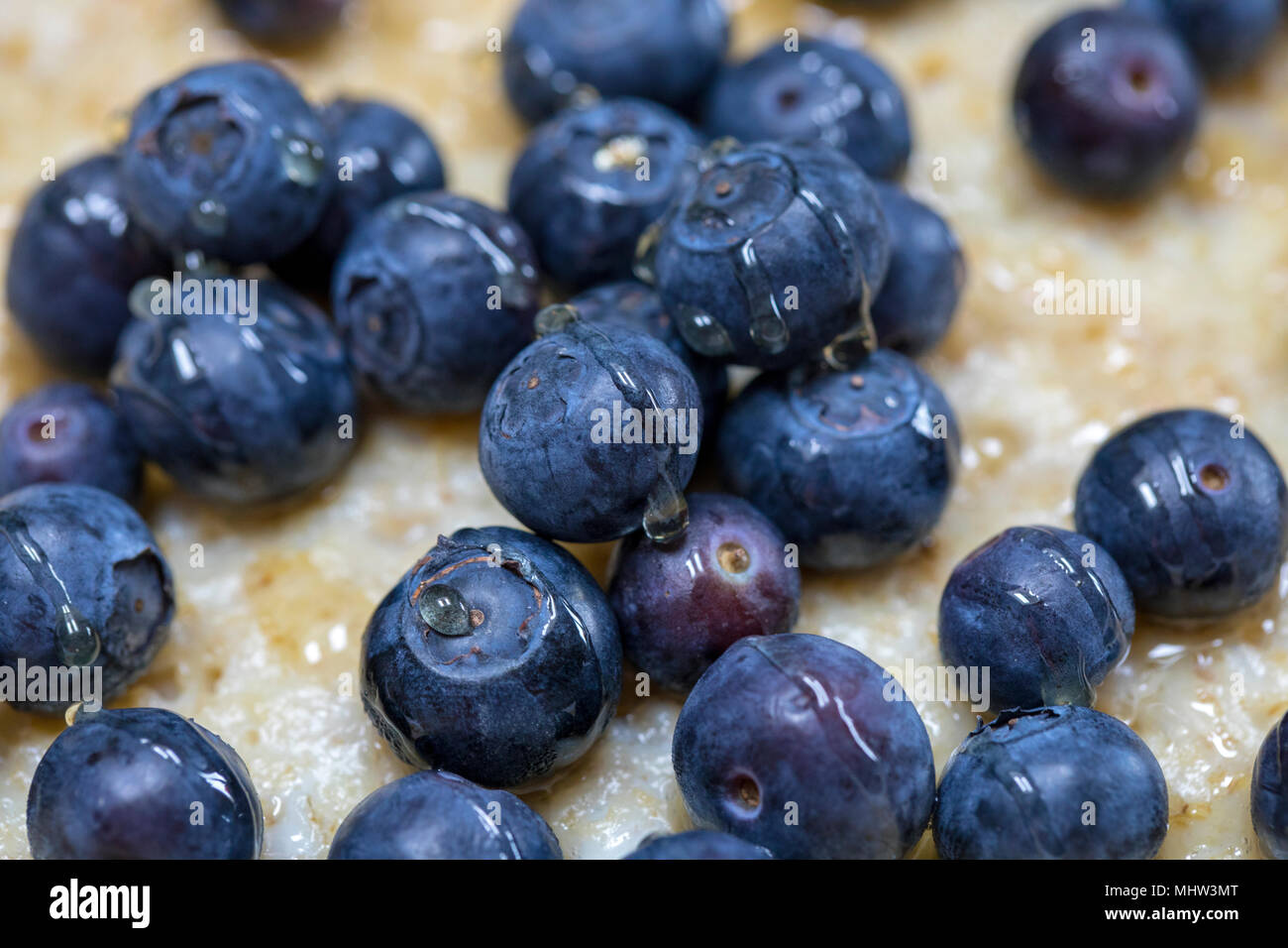 Frische Blaubeeren mit Manuka Honig auf frisch zubereitete Brei Hafer Stockfoto