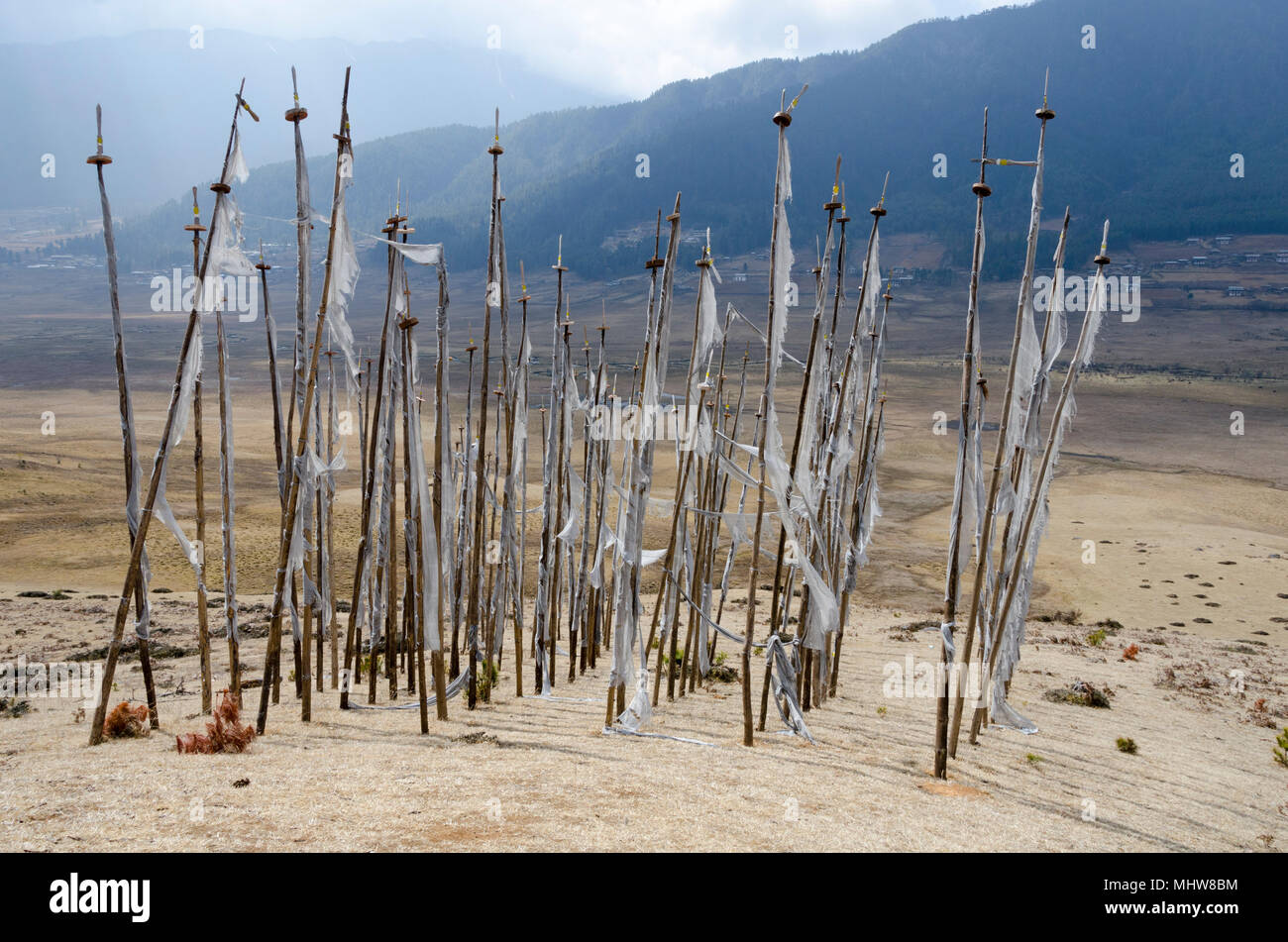 Phobjikha Tal, Wangdue Phodrang, Bhutan Stockfoto