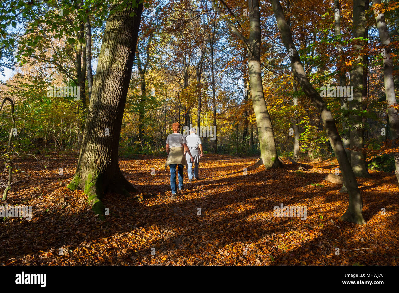Senior paar Spaziergänge durch die sonnigen Wald im Herbst Stockfoto