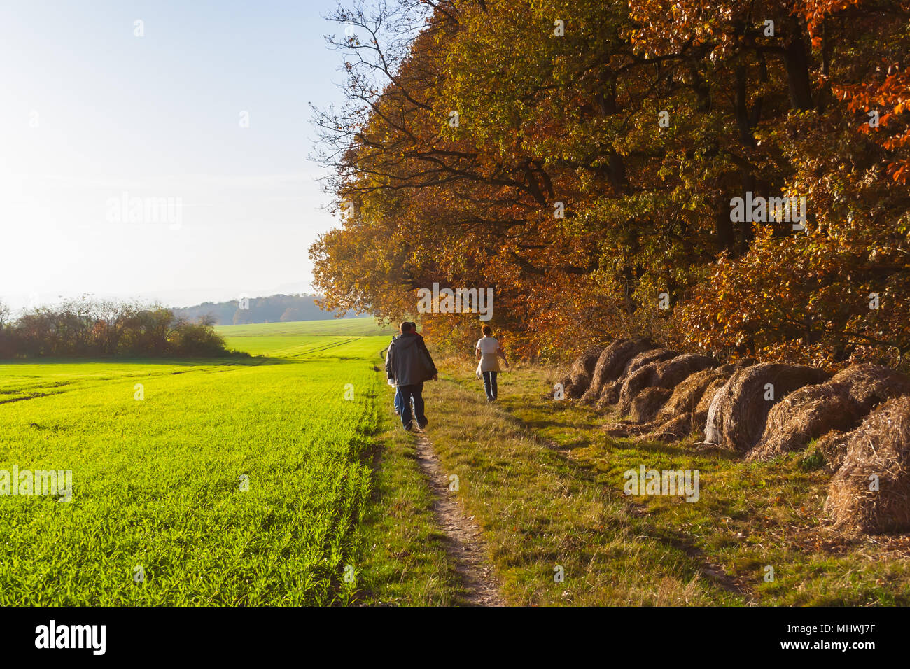 Senior paar Spaziergänge durch die sonnigen Wald im Herbst Stockfoto