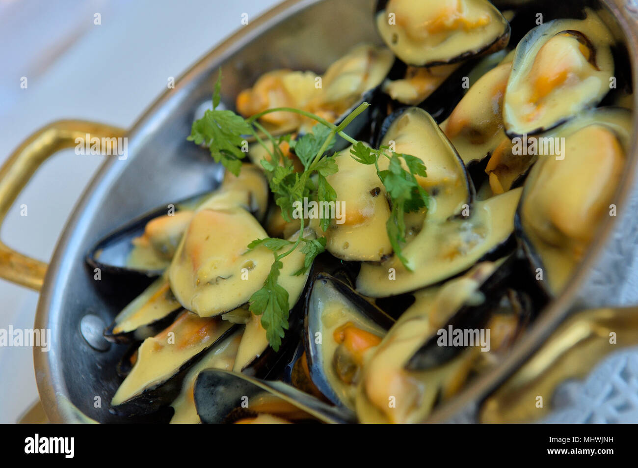 Gebackene Muscheln mit Käse Teller, La Chaloupe Restaurant, Port des Barques, Frankreich Stockfoto