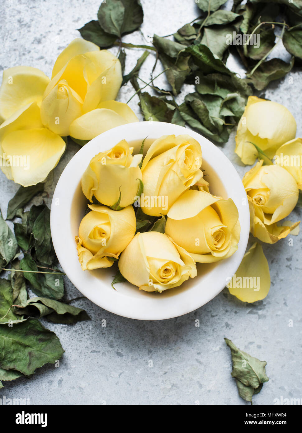 Rose Köpfe in der Schüssel und trockene Blätter Stockfoto