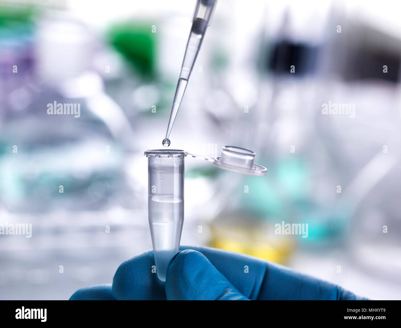 Pipettieren Wissenschaftler Probe in Durchstechflasche für Labor experiment Stockfoto