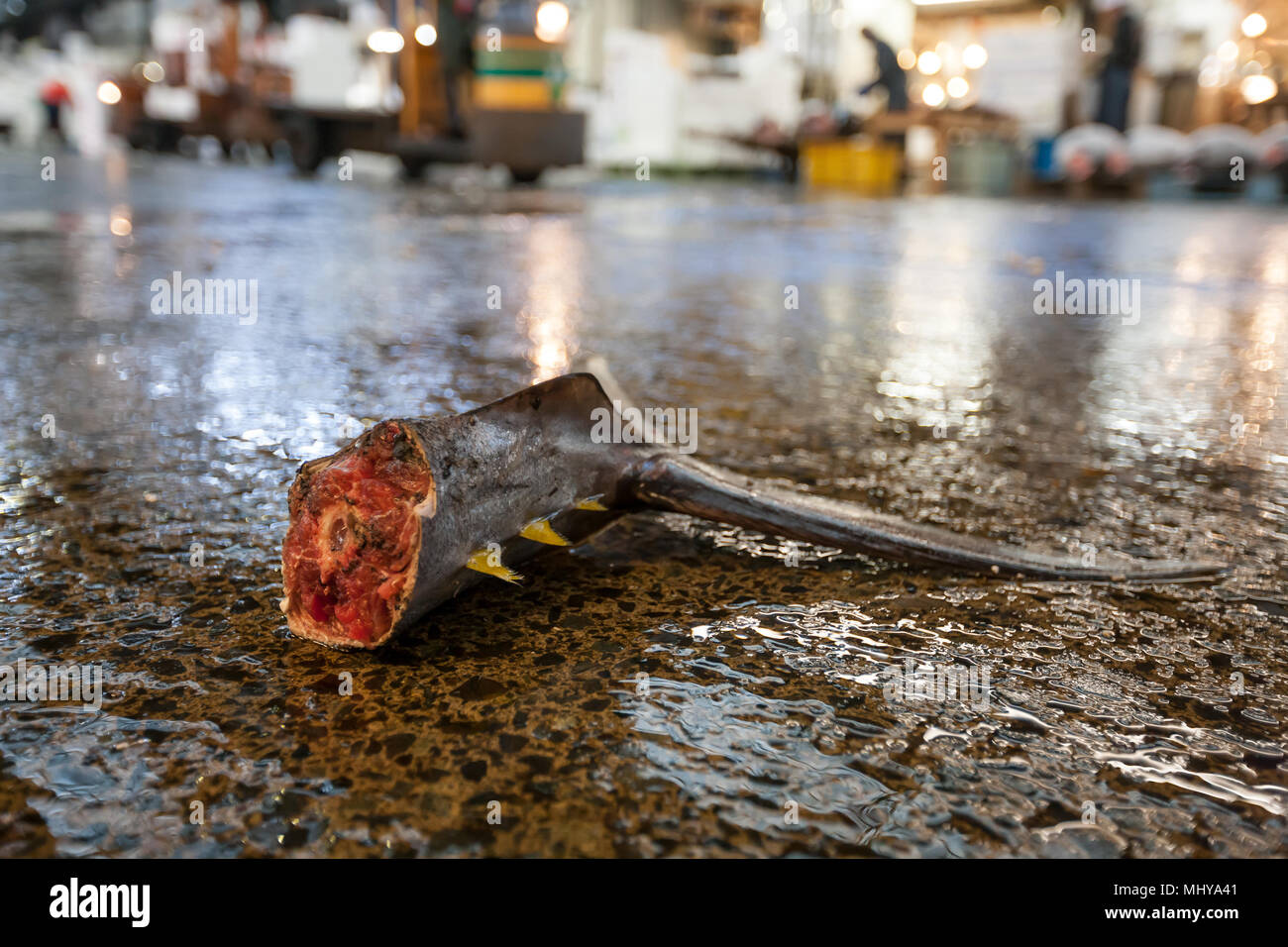 Cut-off-fin von Thunfisch auf dem Boden am Fischmarkt Tsukiji. Stockfoto