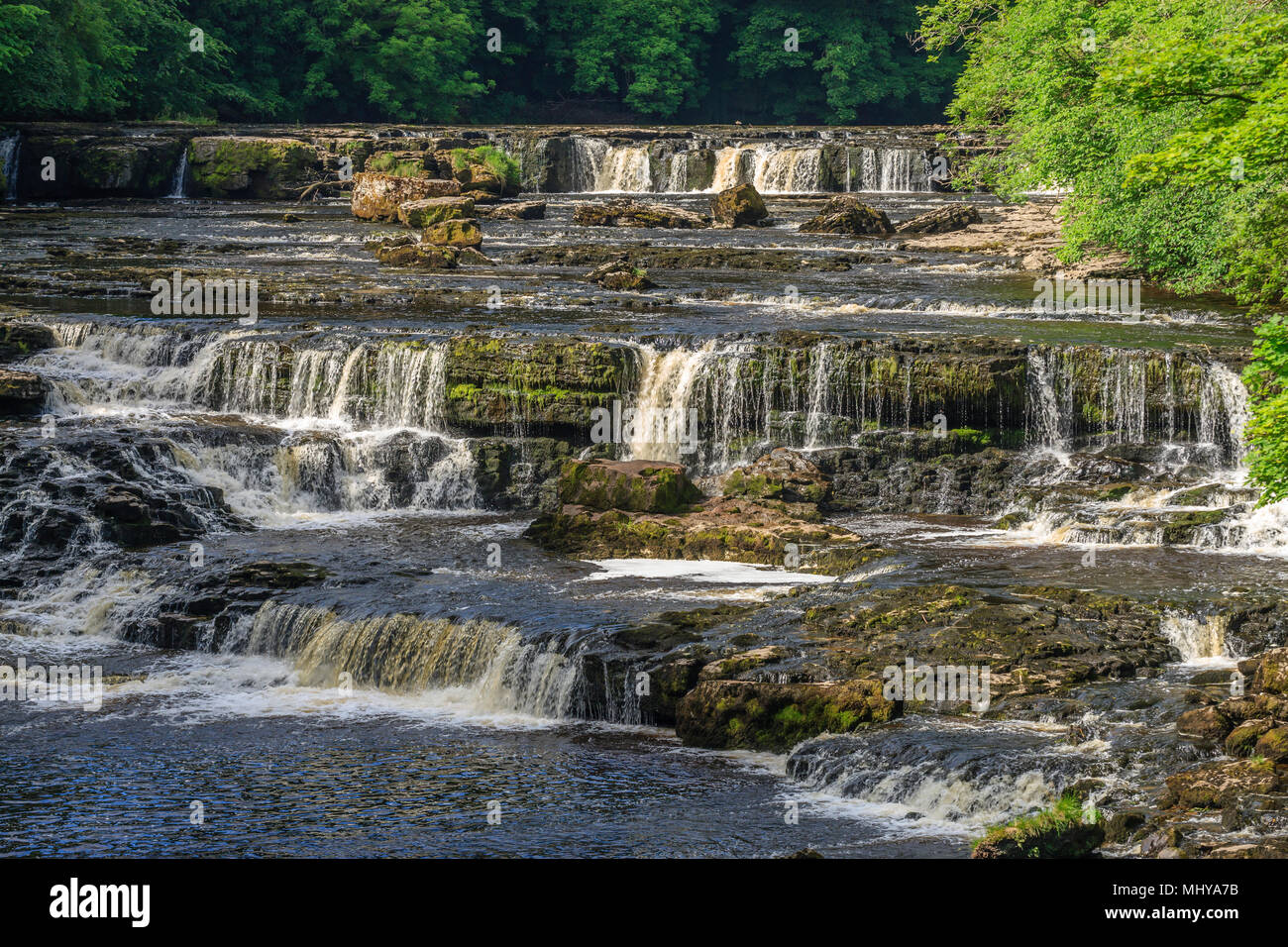 Aysgarth Upper falls Richmondshire North Yorkshire England Stockfoto