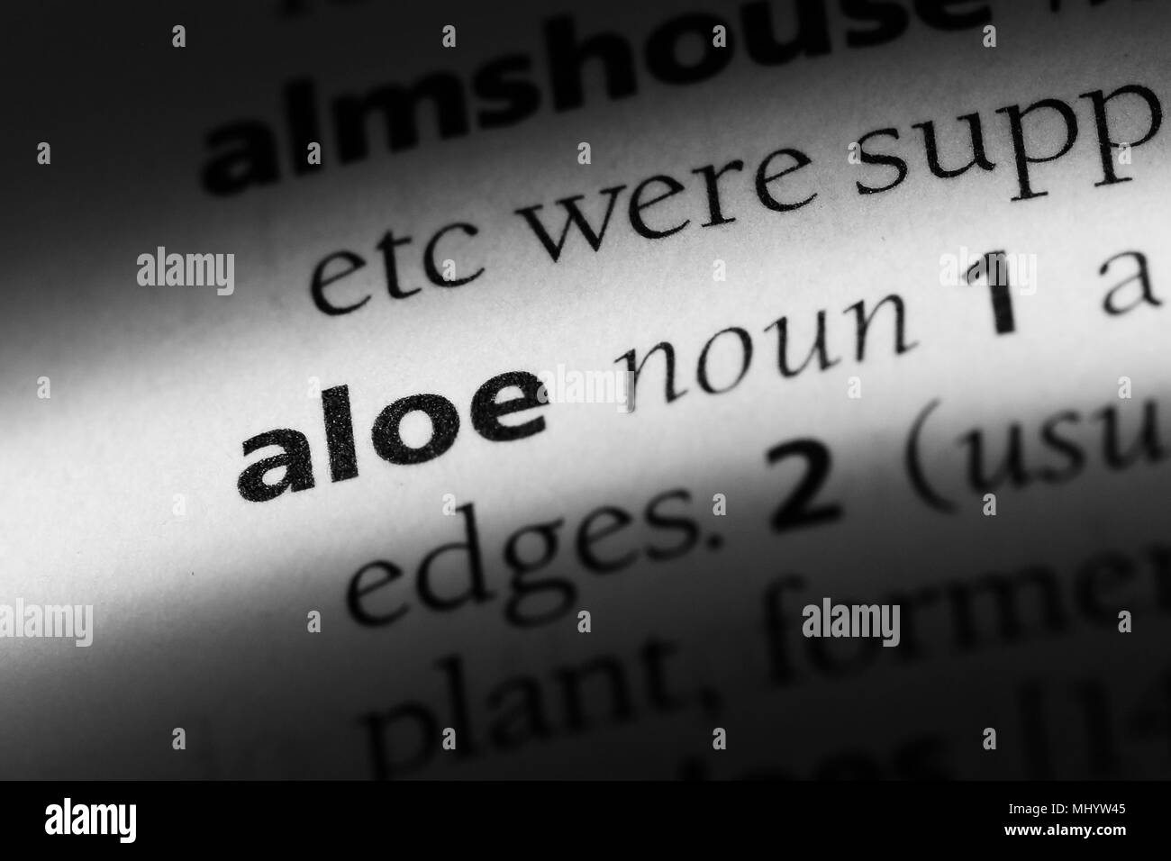 Aloe Wort in einem Wörterbuch. Aloe Konzept. Stockfoto