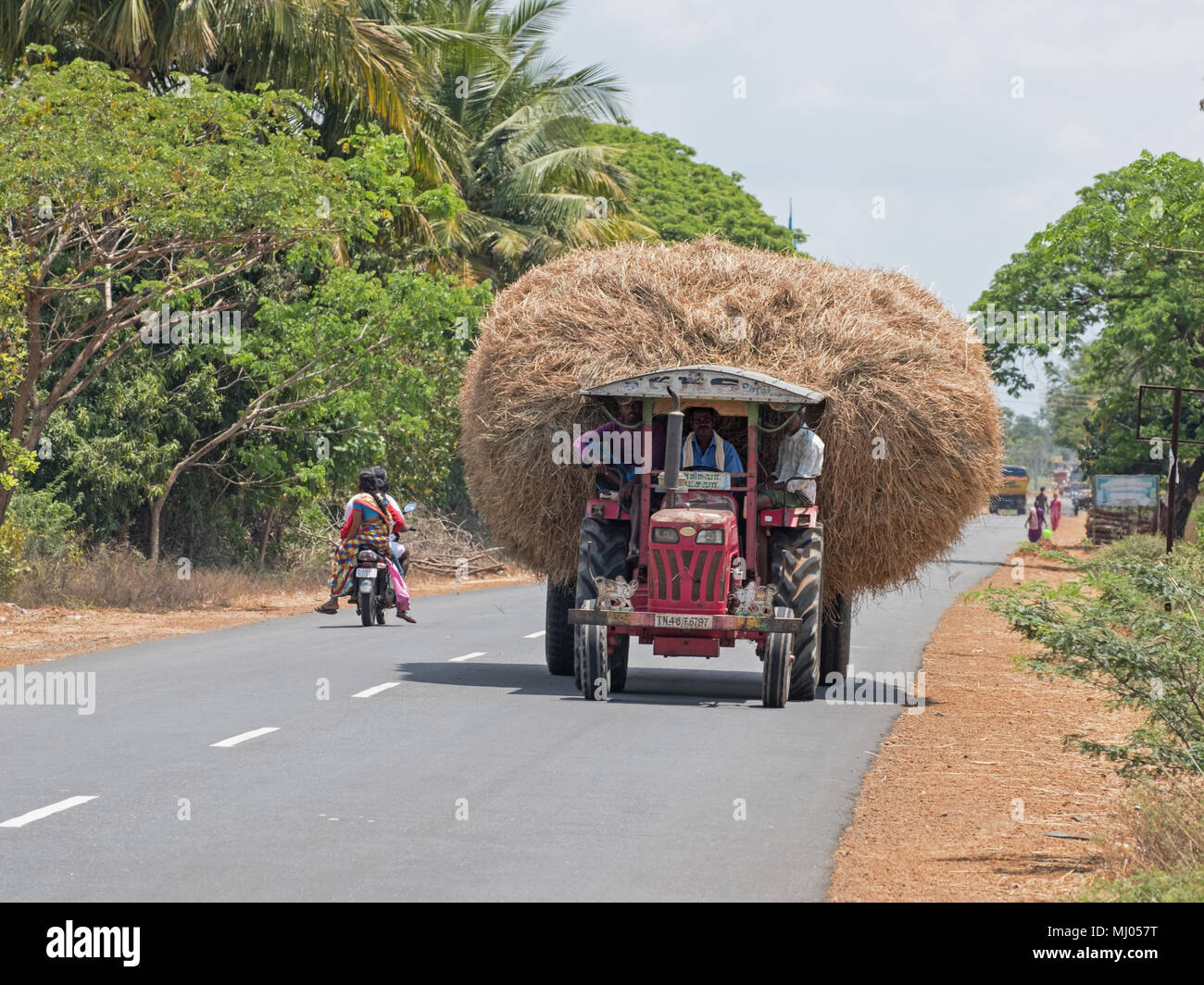 Thanjavur, Indien - 16. März 2018: Potenziell gefährliche Landwirtschaft laden Verhandlungen über den Highway, eine gemeinsame Sicht in der Erntezeit in Tamil Nadu Stockfoto